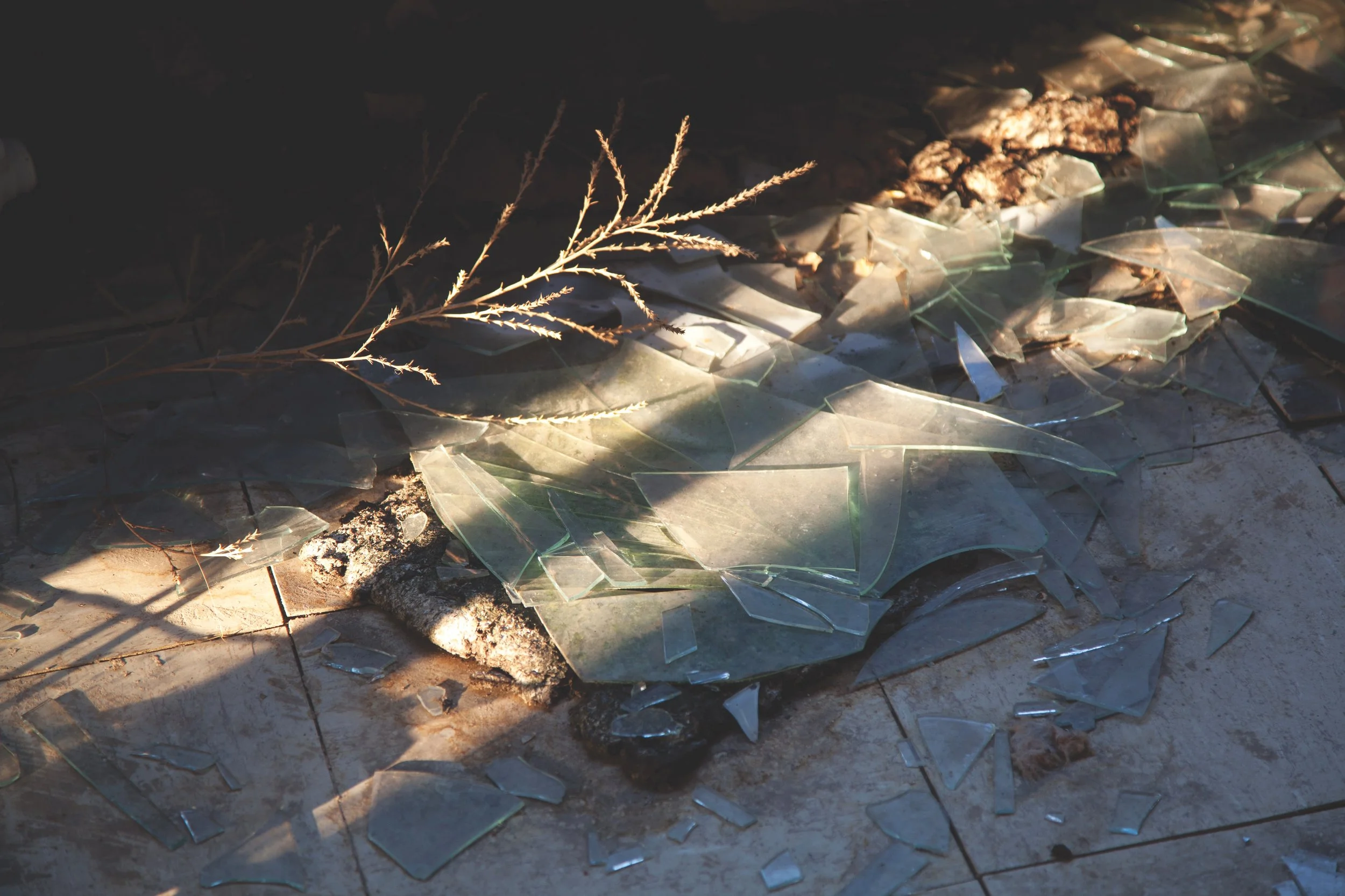 3-Good Luck Found.jpg