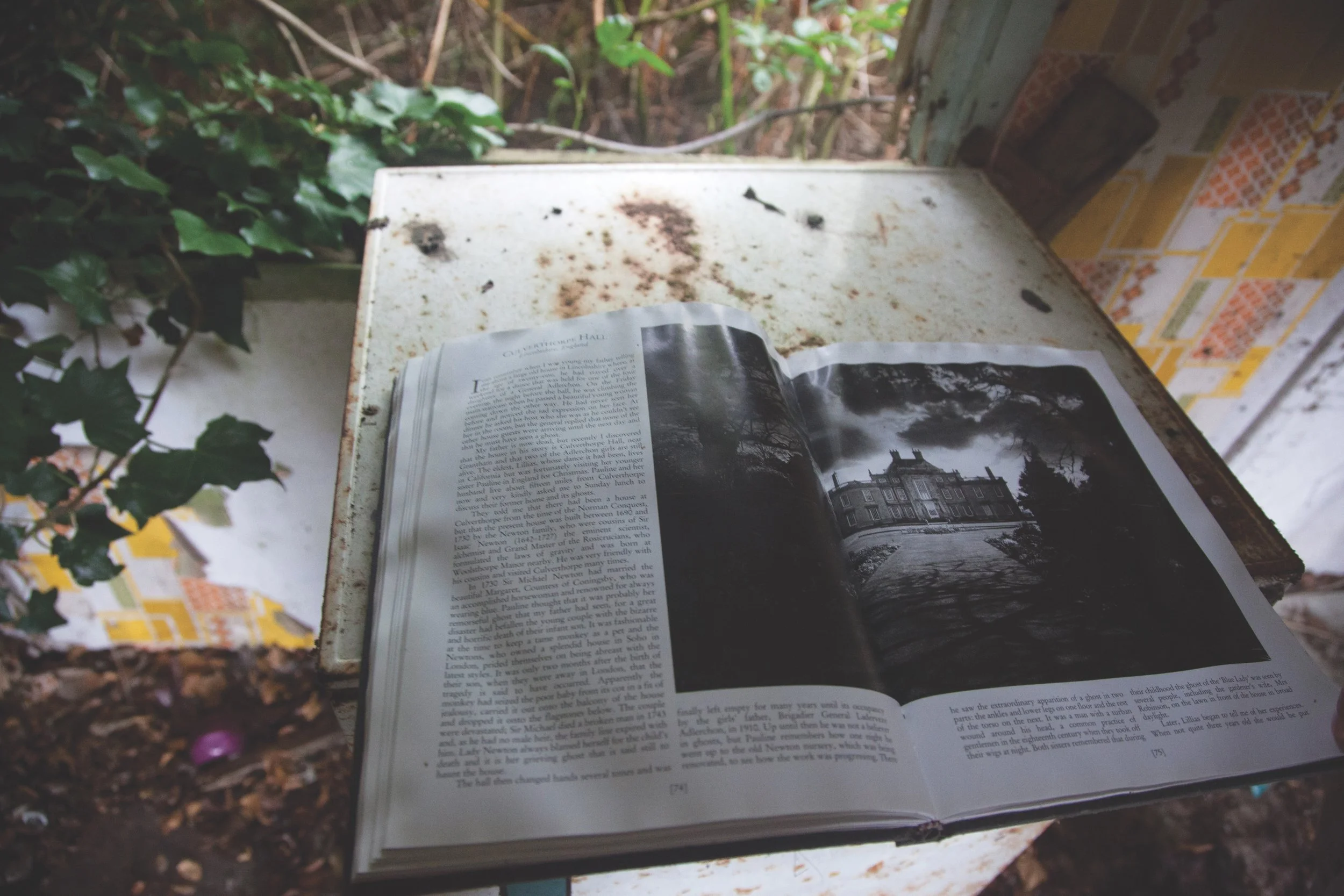 1-Elemental Knowledge.jpg