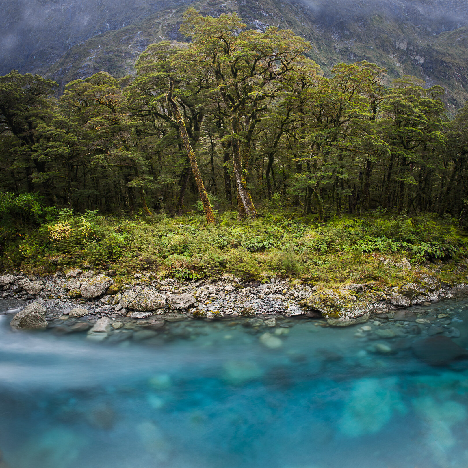 Hollyford River