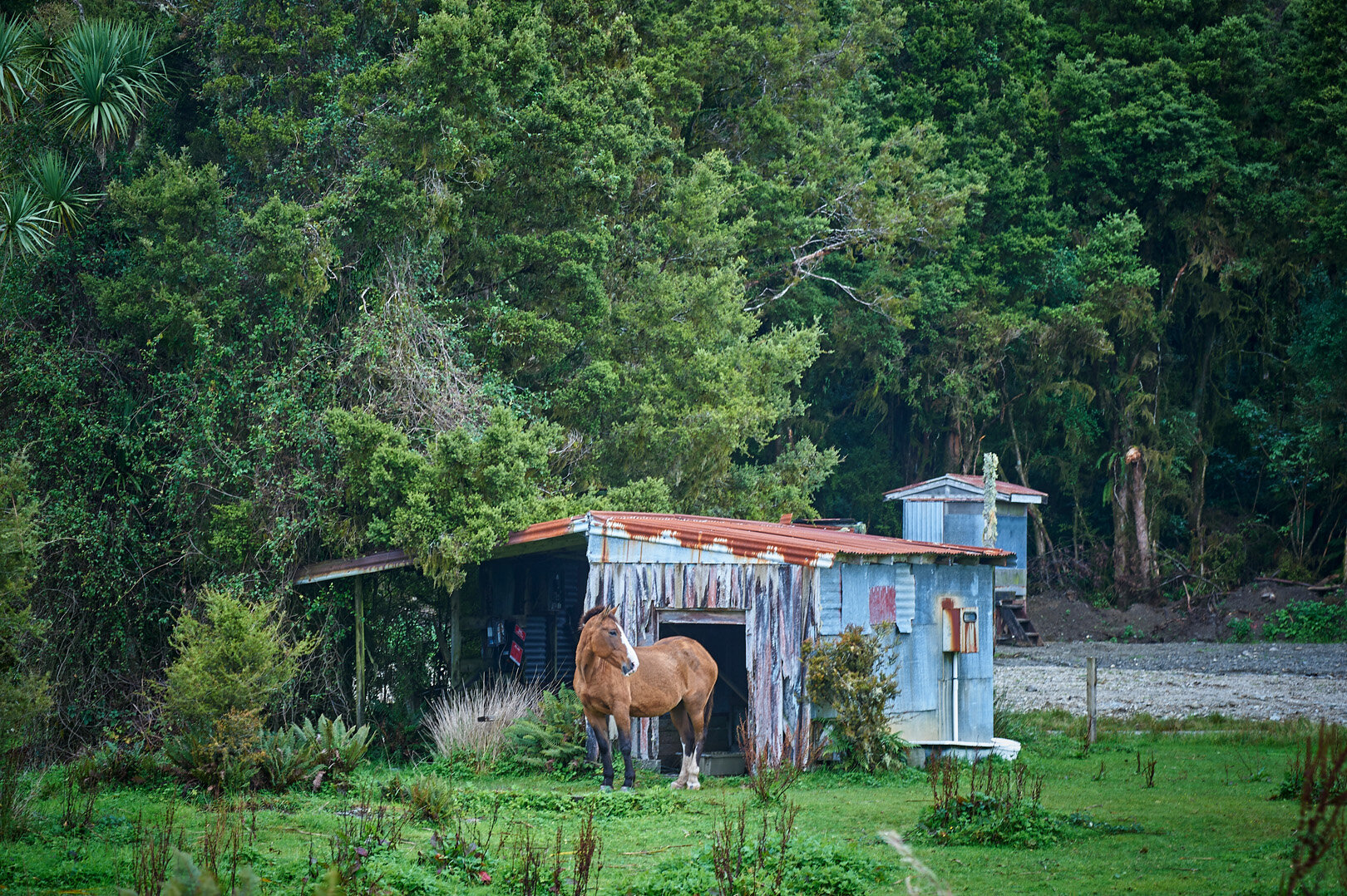 Old Stable