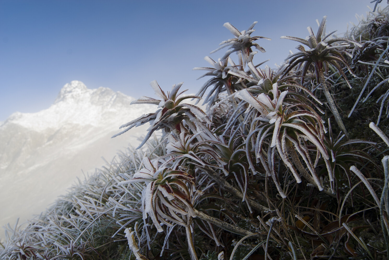 McKinnon Pass  3- Milford Track