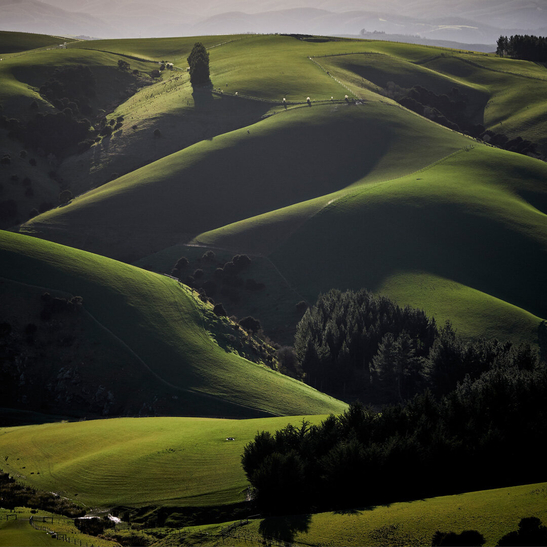 South Otago rolling hills