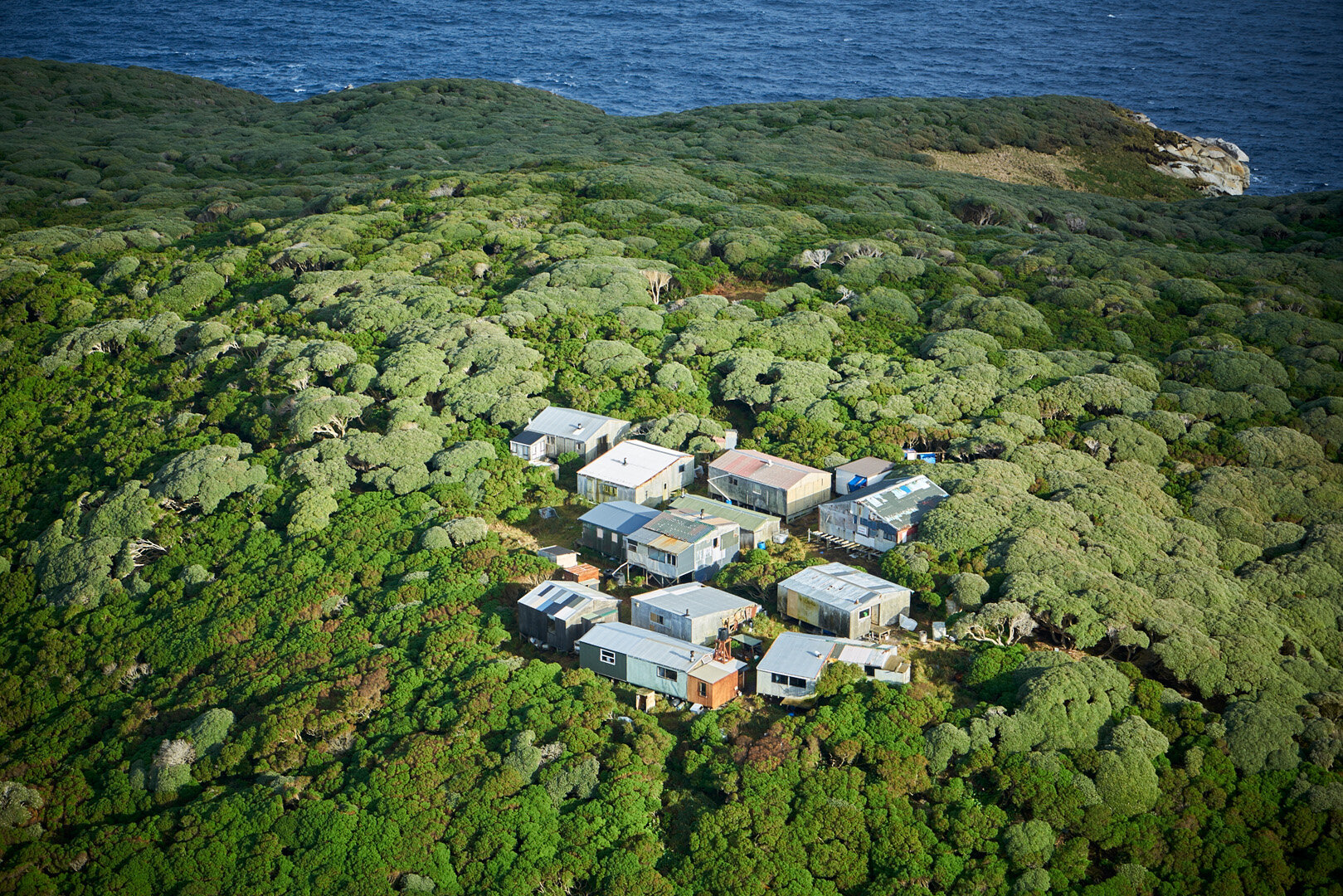 Mutton birding huts