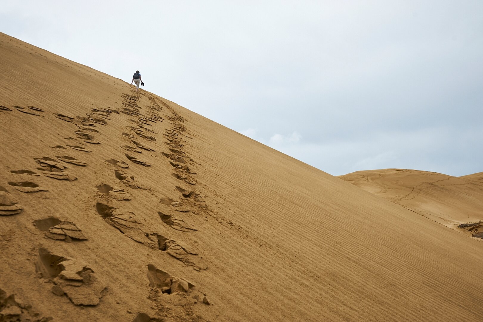 Ninety Mile Beach dunes