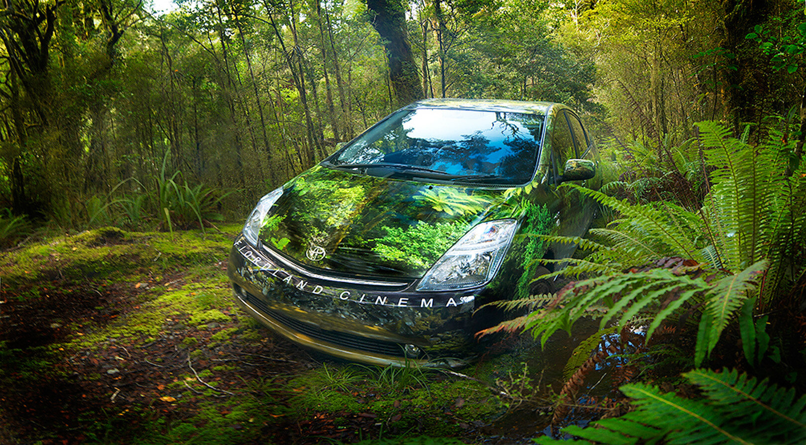 Hybrid car - in bush 03.jpg