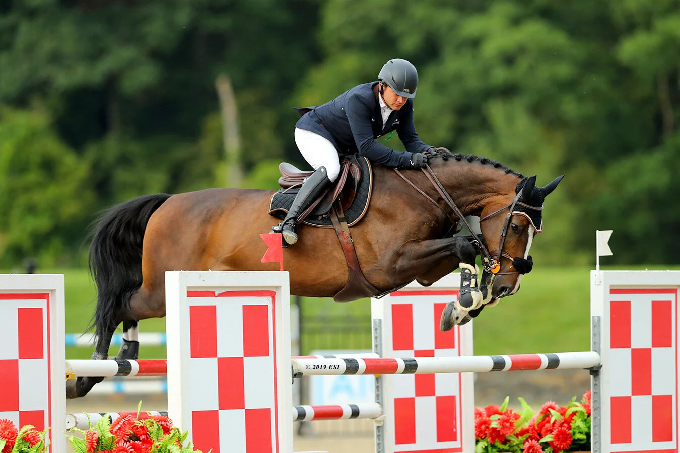 OFFERING HORSE OWNERS