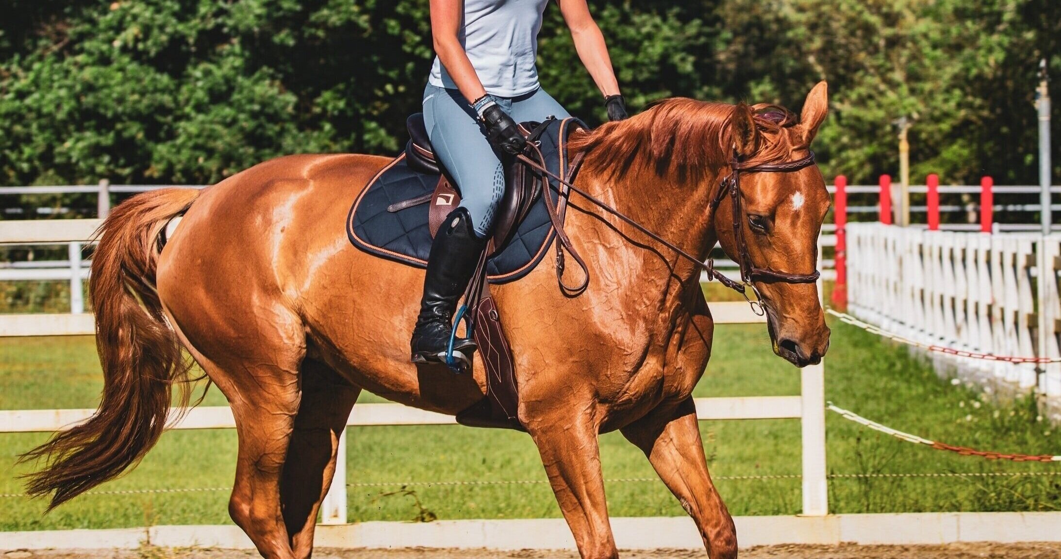 OFFERING HORSE OWNERS