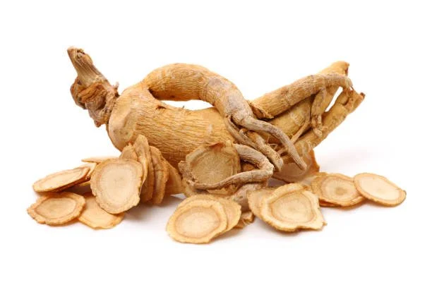 Panax Ginseng