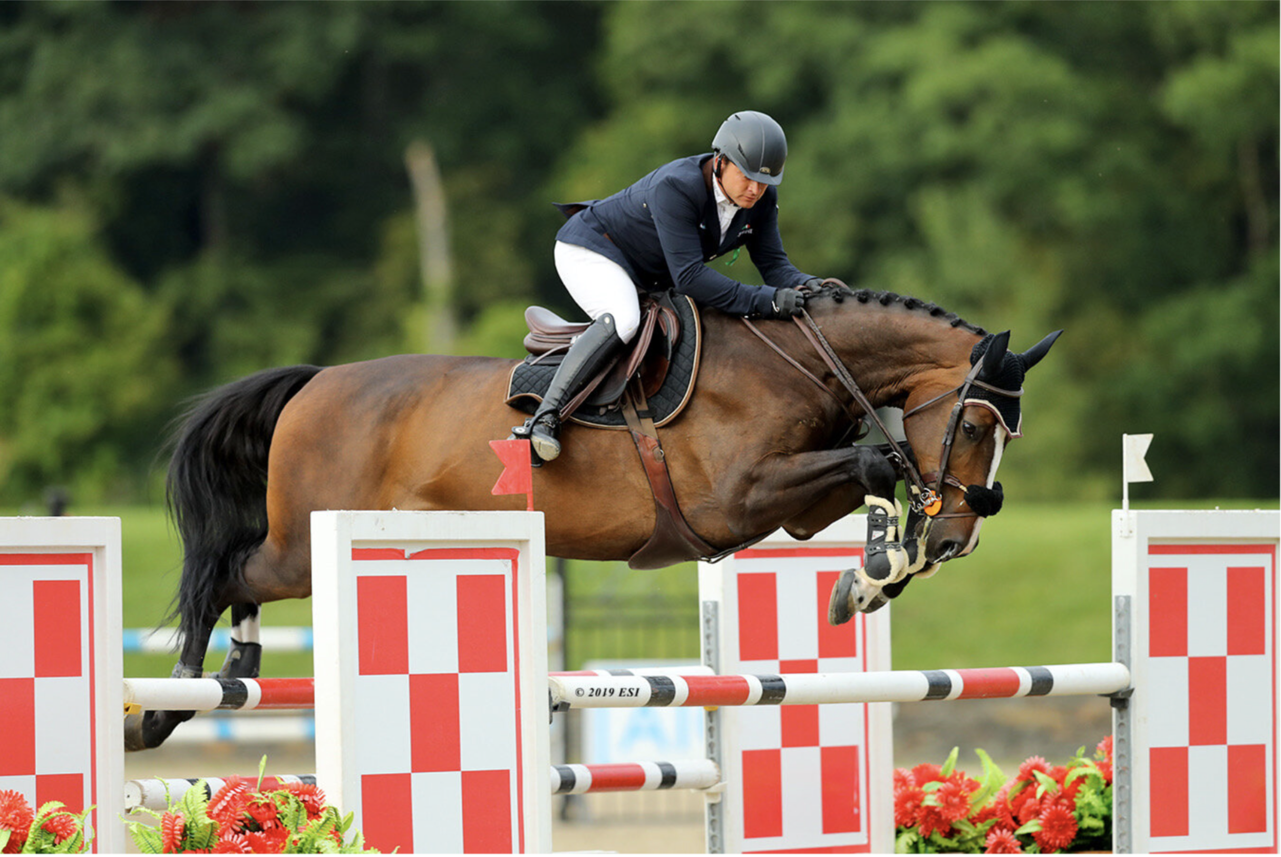 Screenshot 2025-06-09 at 11.48.16 AM.png