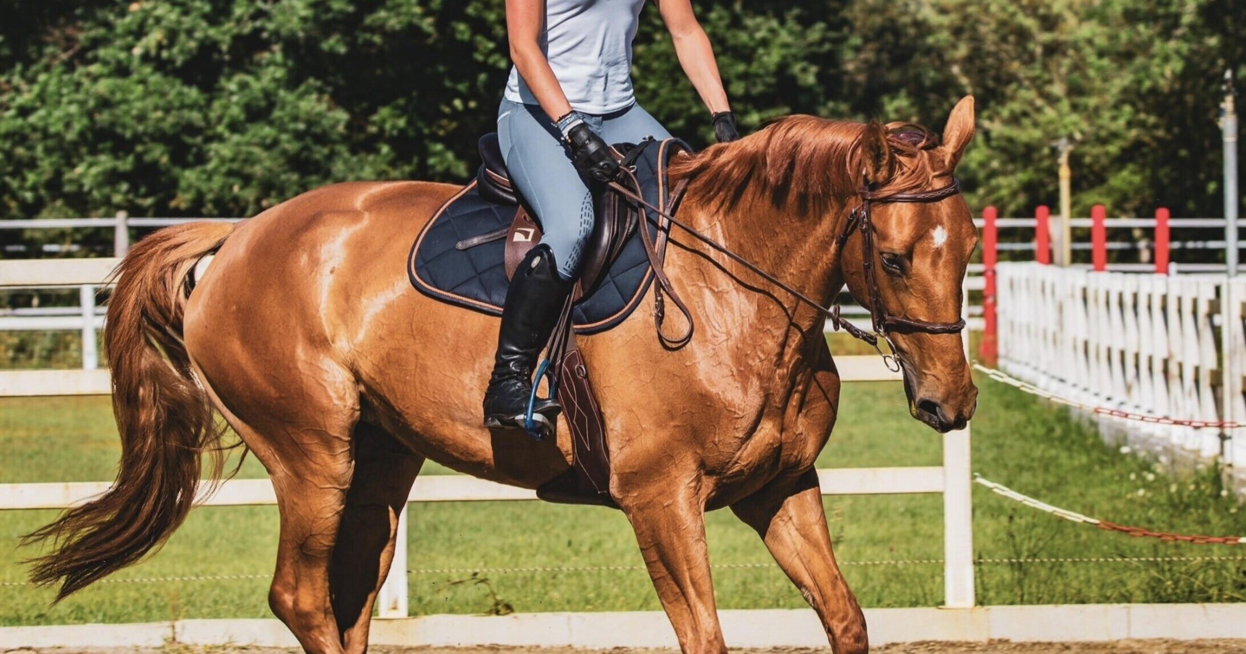 Screenshot 2025-06-09 at 11.48.32 AM.png