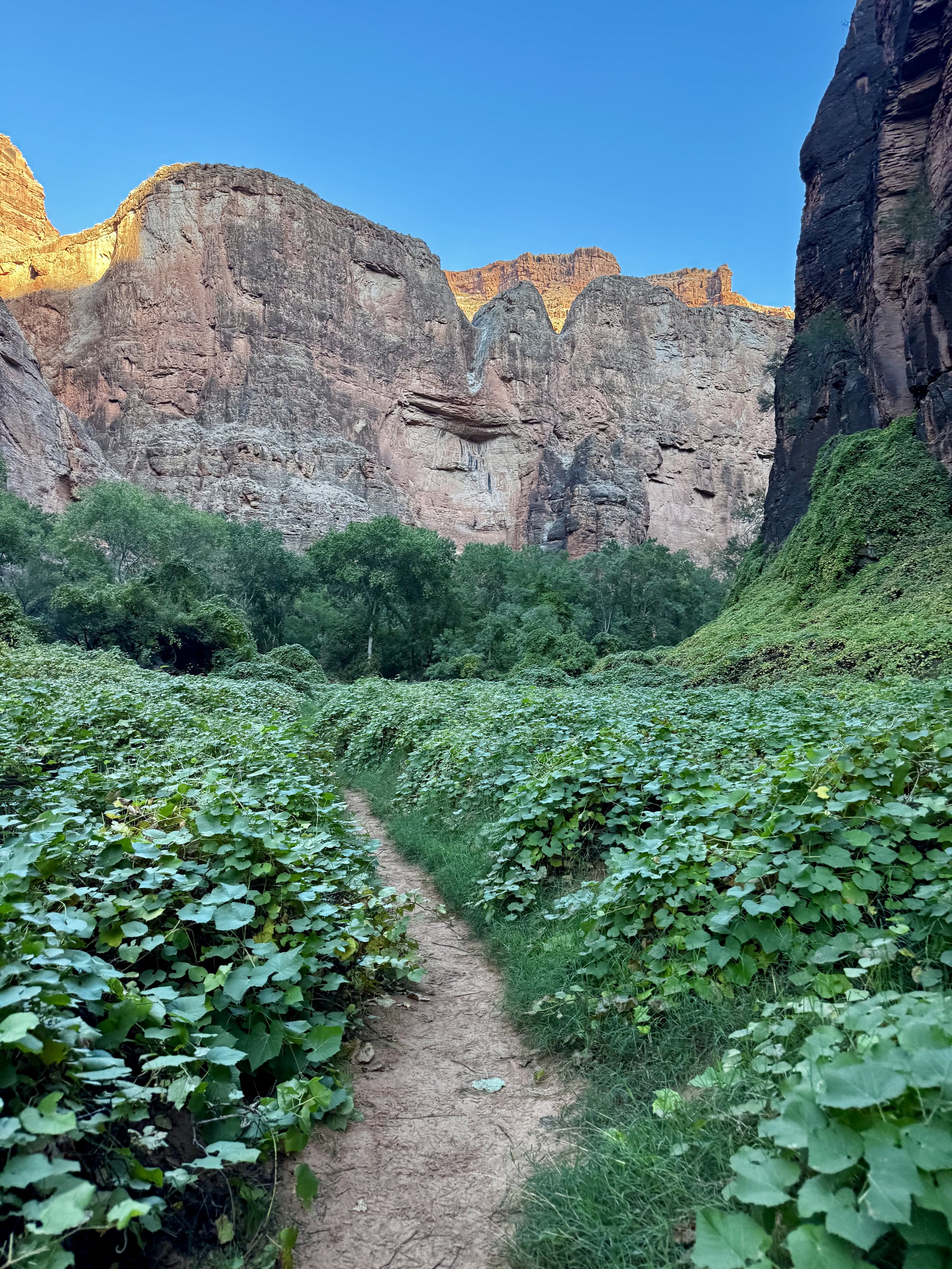 The Quiet Ways Grief Reshaped Me