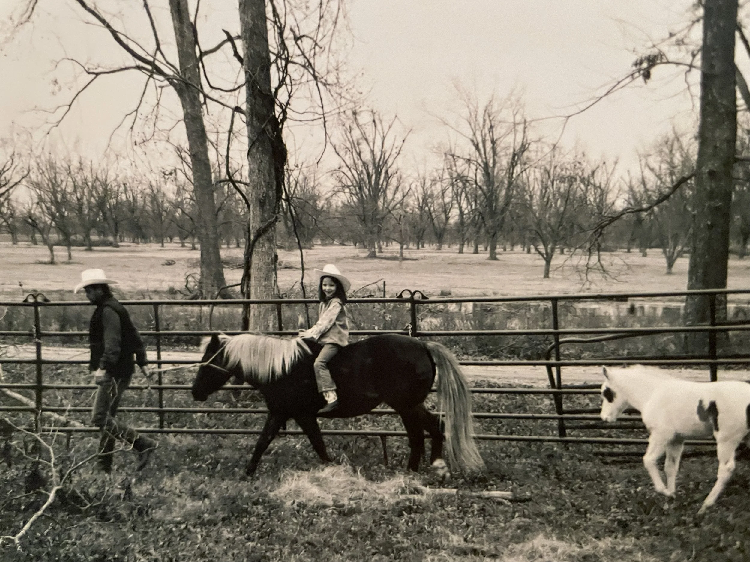 Coming Home: The Story Behind Hays Farm