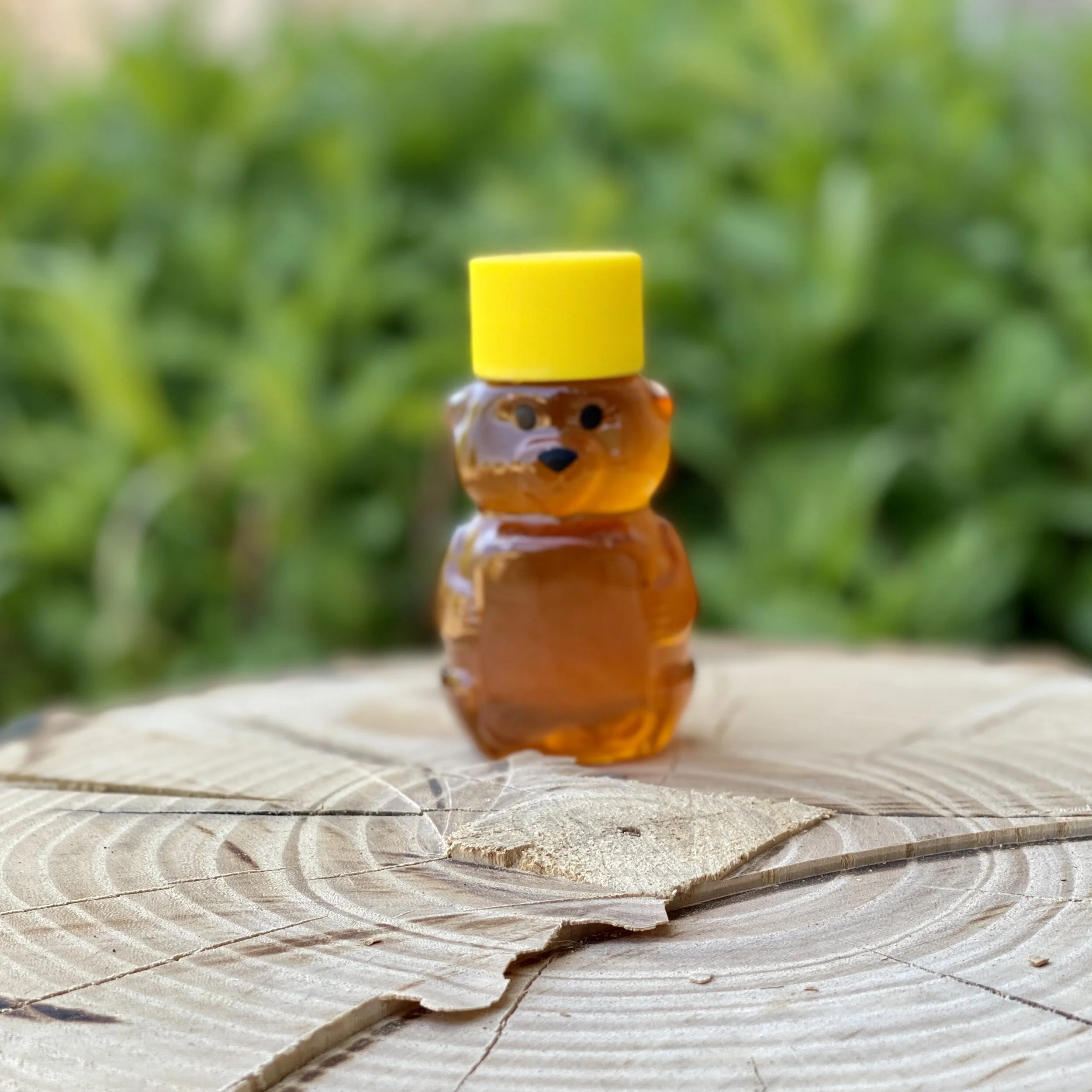 Honey - 2oz. Baby Bear