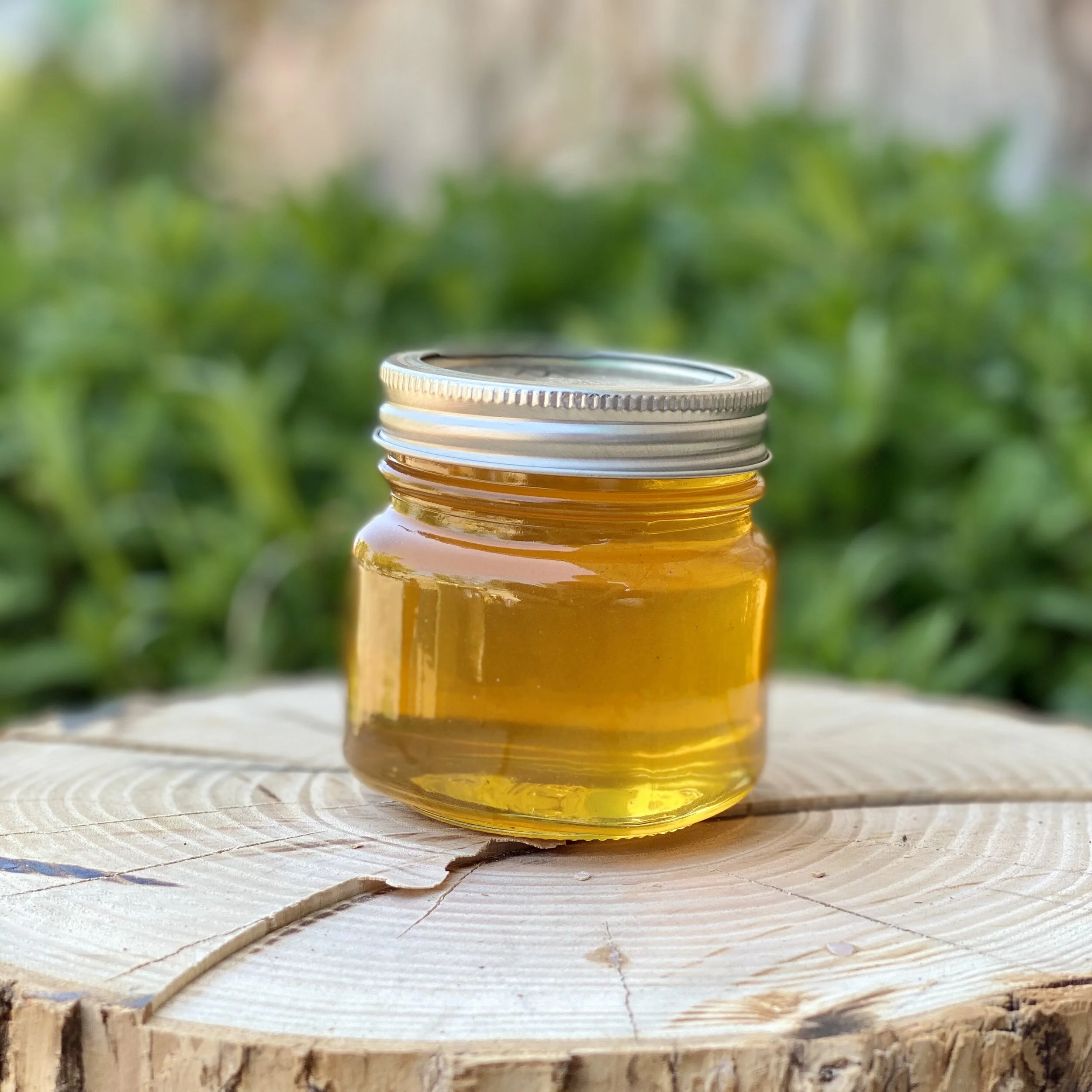 Honey - Mesquite - Half Pint Jar