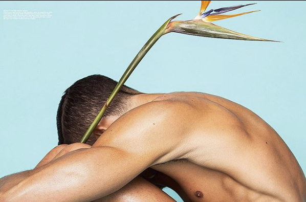 Screen Shot 2020-04-21 at 12.00.43 AM.png