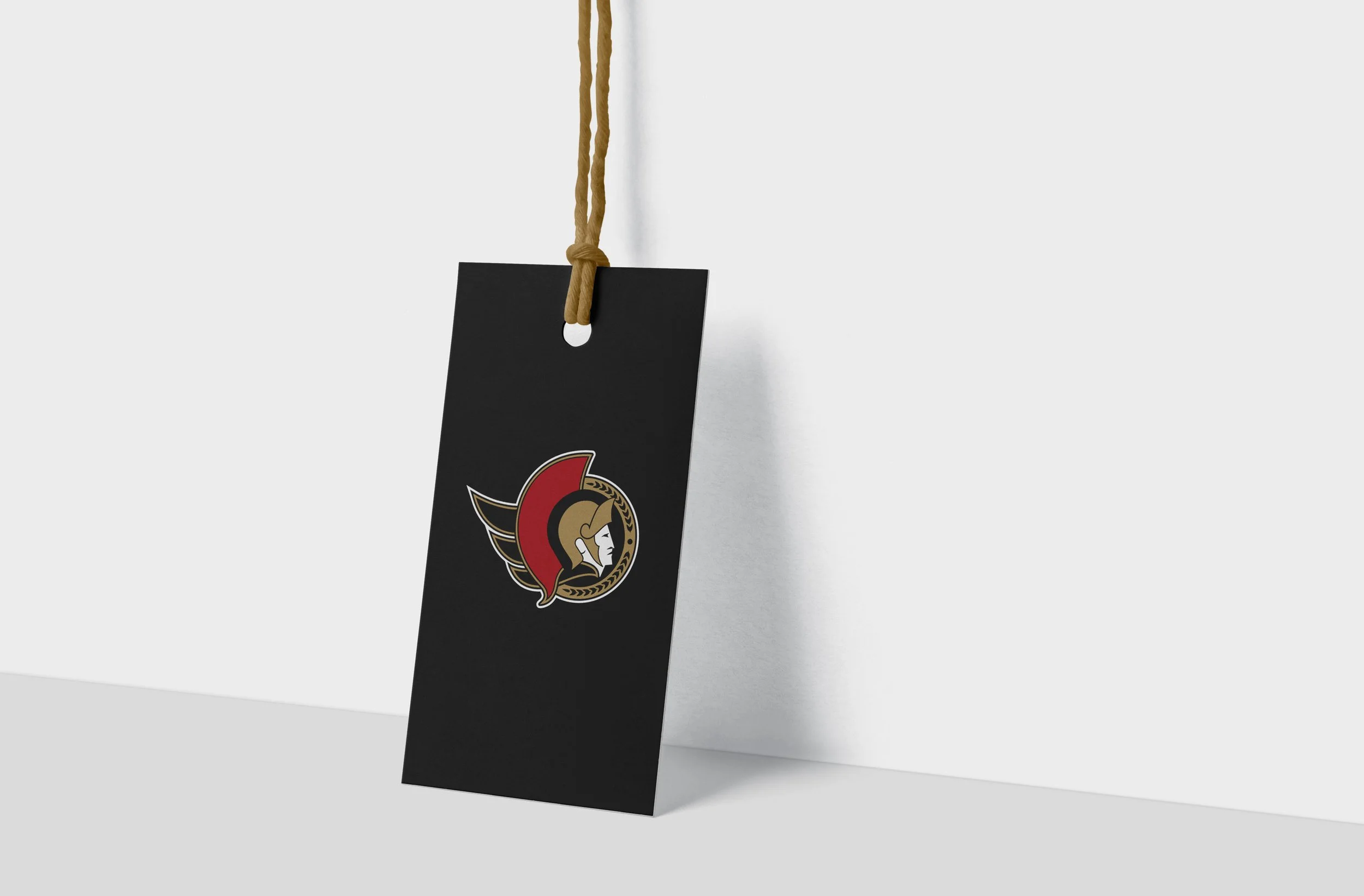Black hanging sign with the Ottawa Senators hockey team logo, suspended from a tan rope, against a gray background.