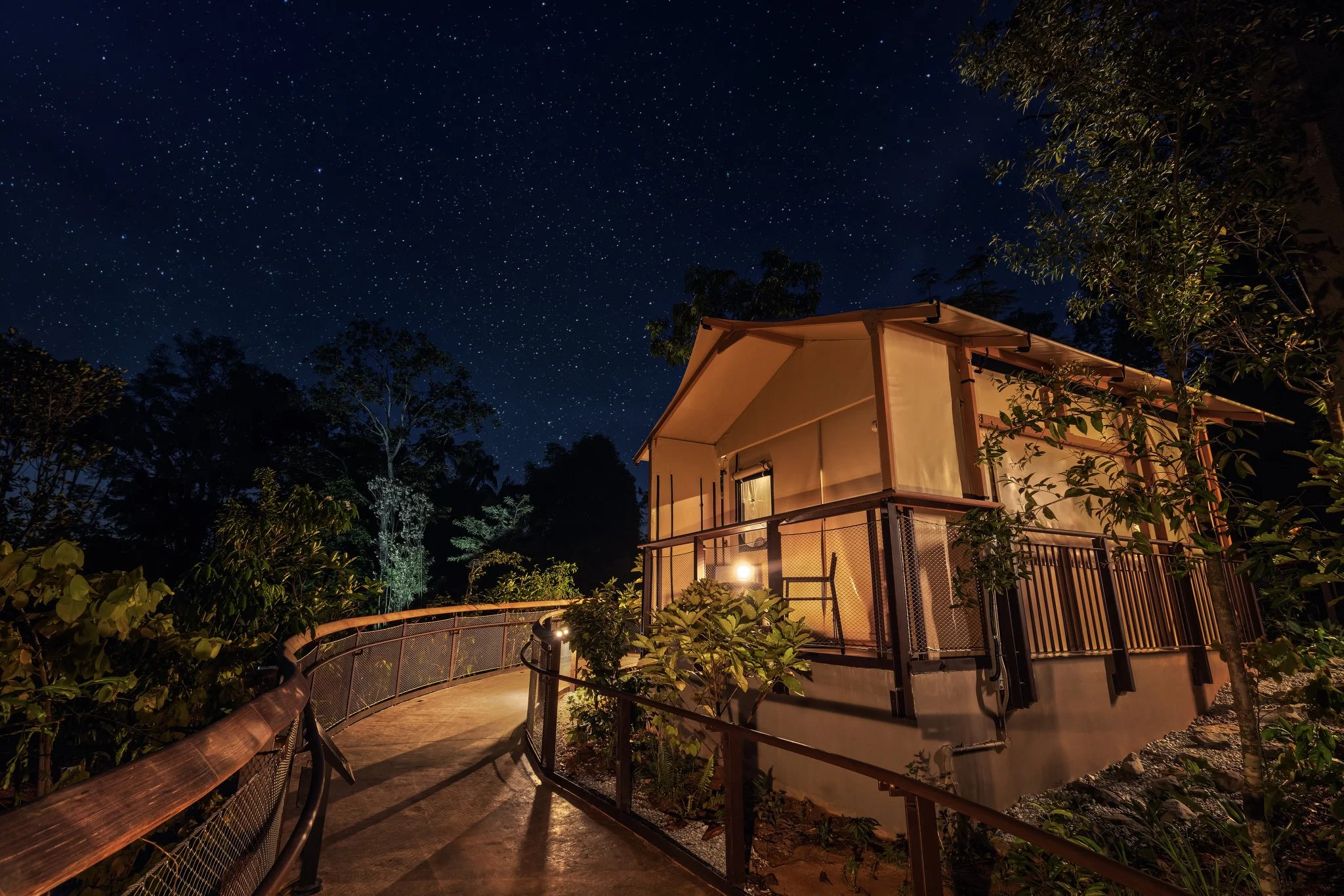 06-Night Sky edit final.JPG