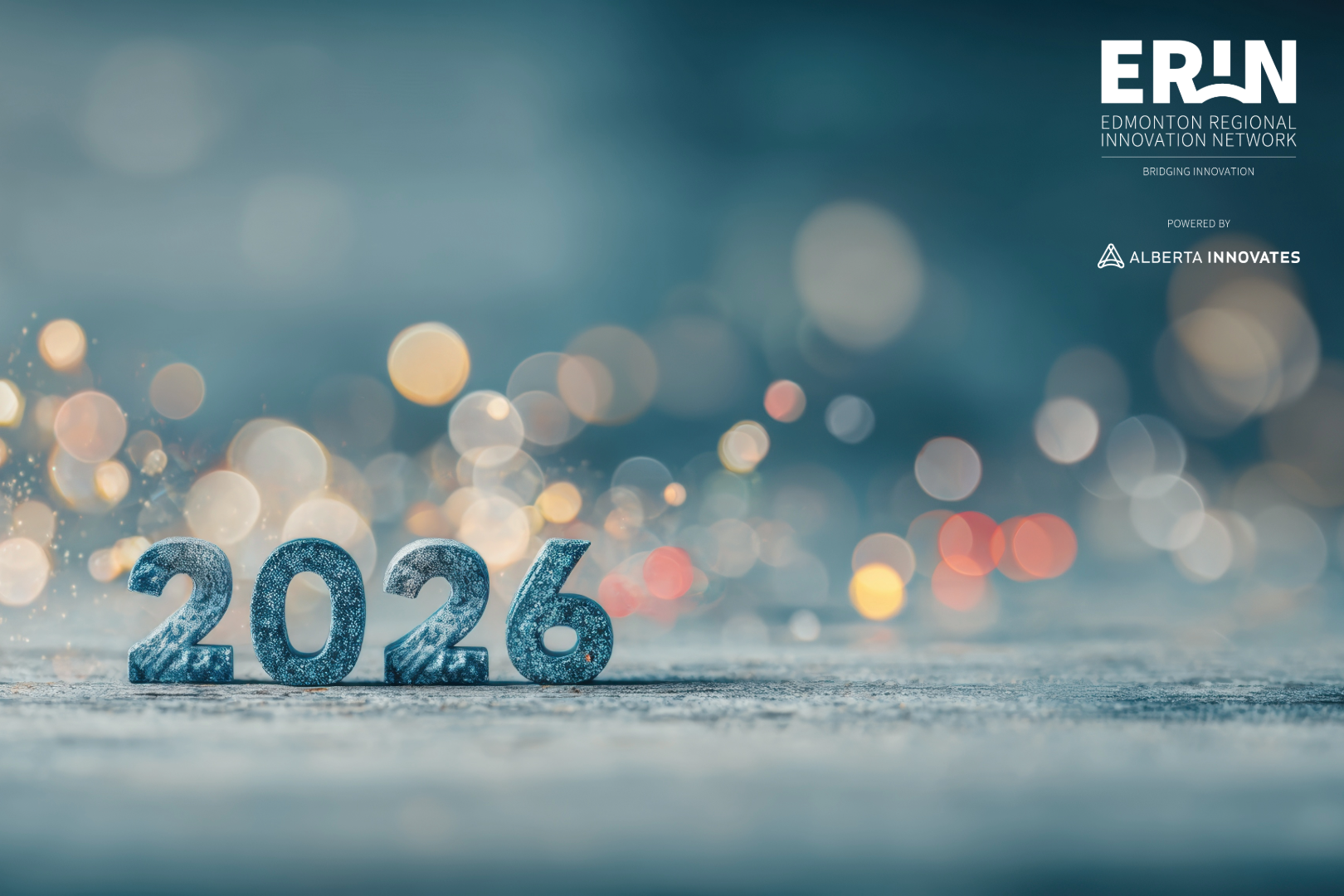 Happy New Year from ERIN!