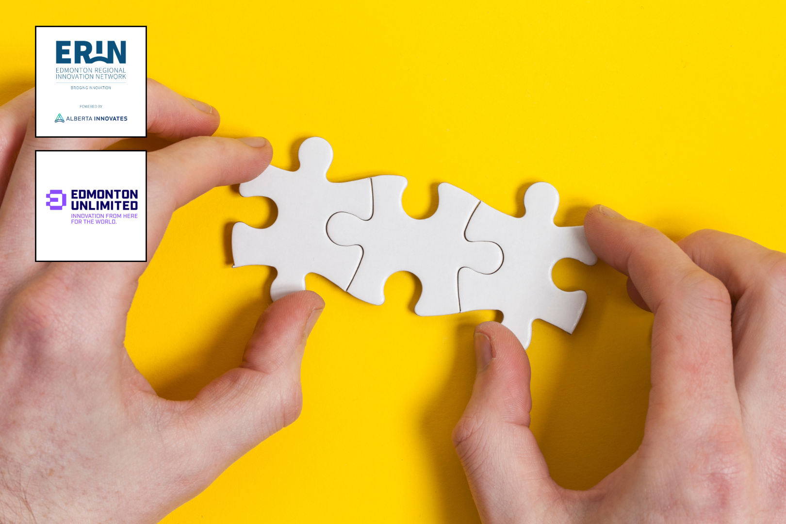 Build, Test &amp; Learn: Product Development