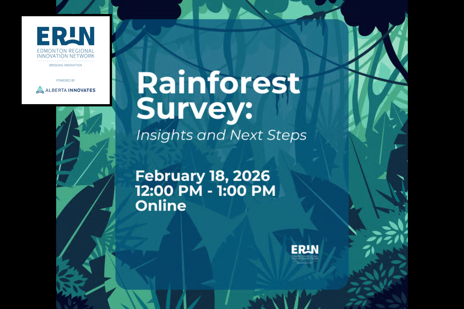 The Rainforest Survey: Insights & Next Steps