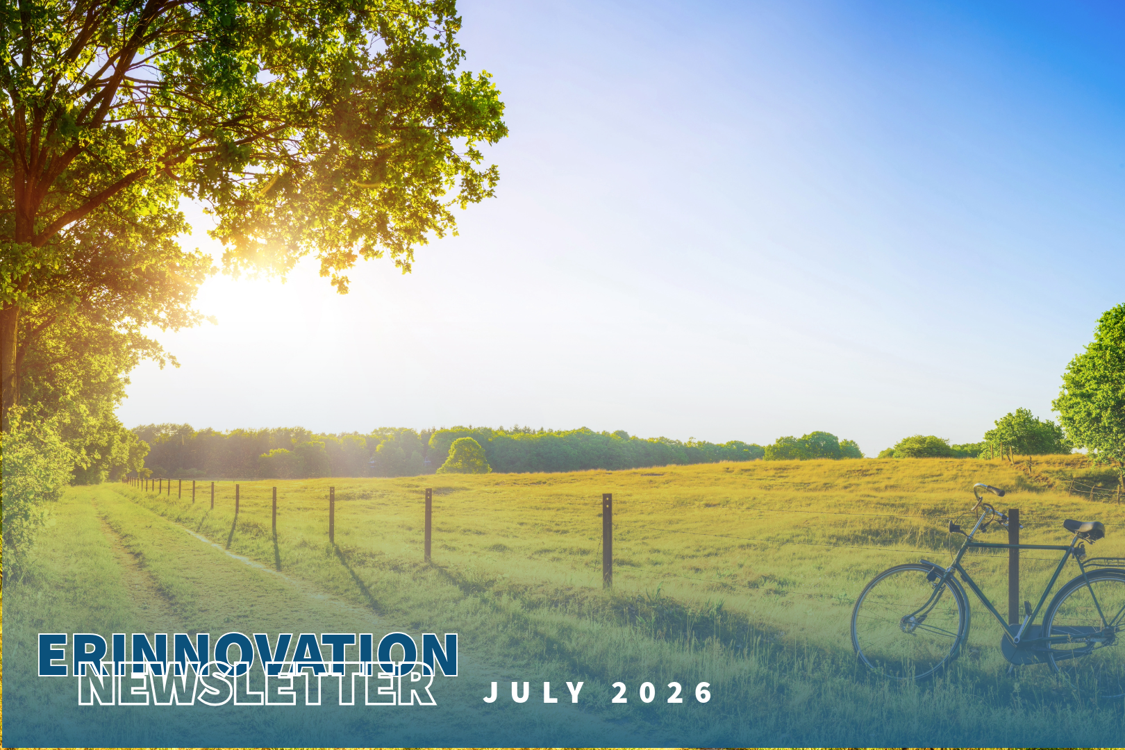 ERINnovation Newsletter - July II