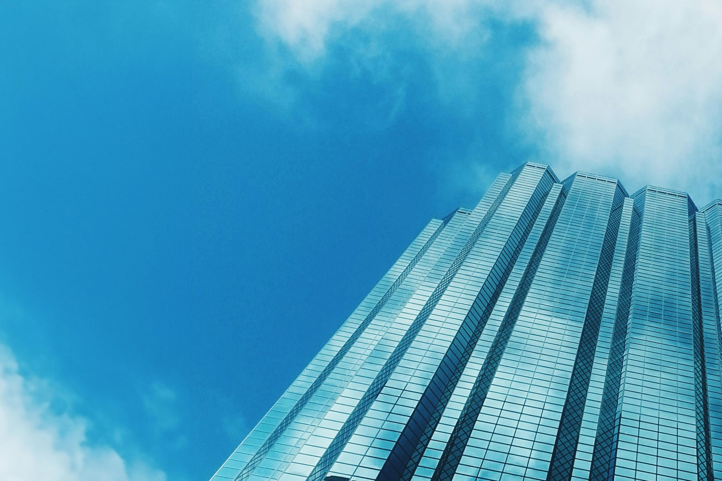 What to Expect 4.png