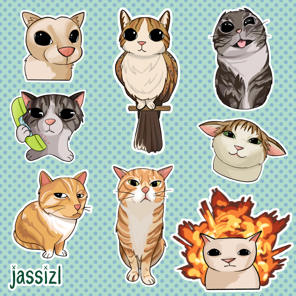 instagramsillycats.png