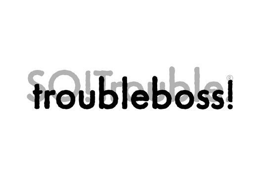 troubleboss.jpg