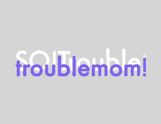 troublemom v3.jpg