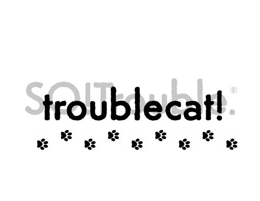 troublecat.jpg