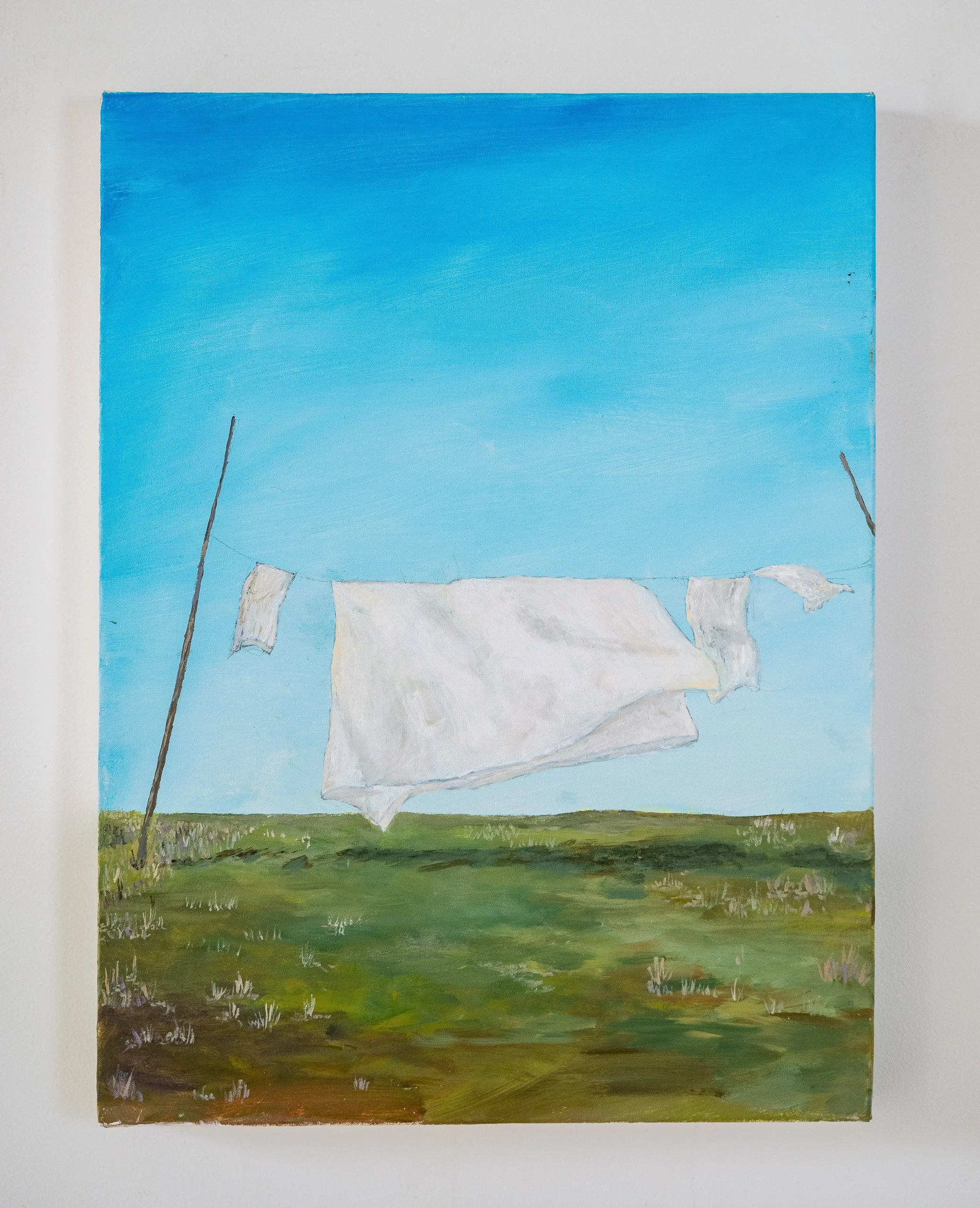Work 129:  Sheets on Line in Paddock.  2019.   40 x 30 cms.