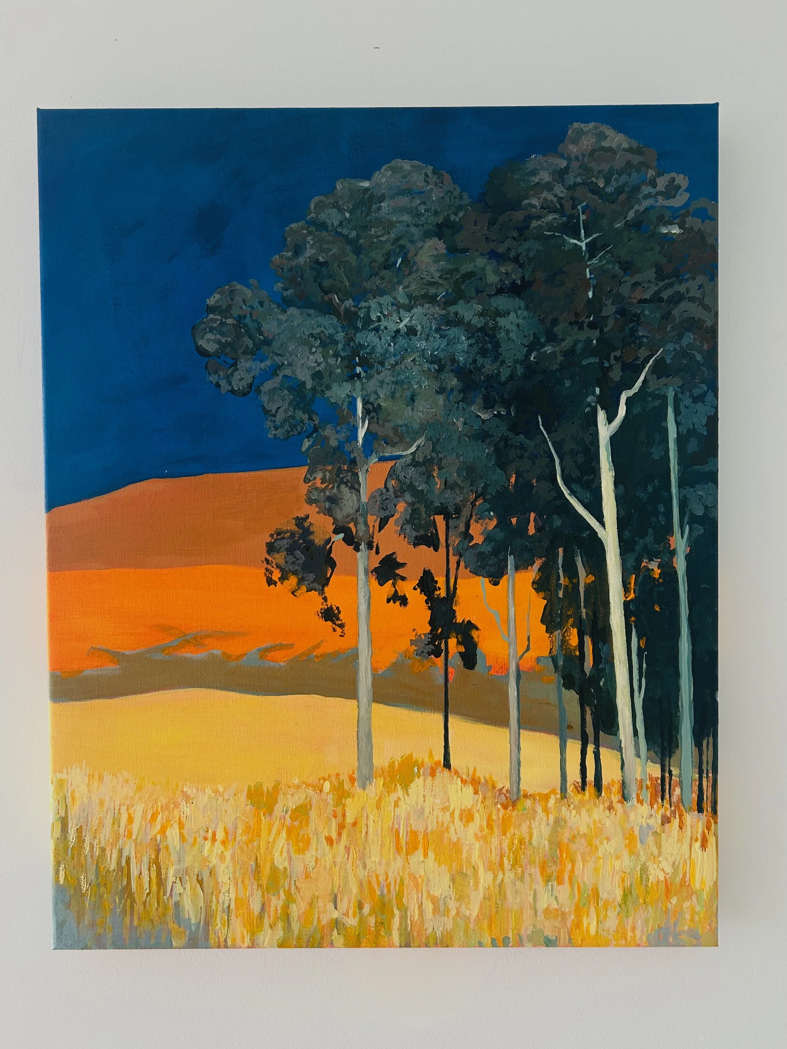 Work 277:  Orange Paddocks
2026
50 x 40 cms