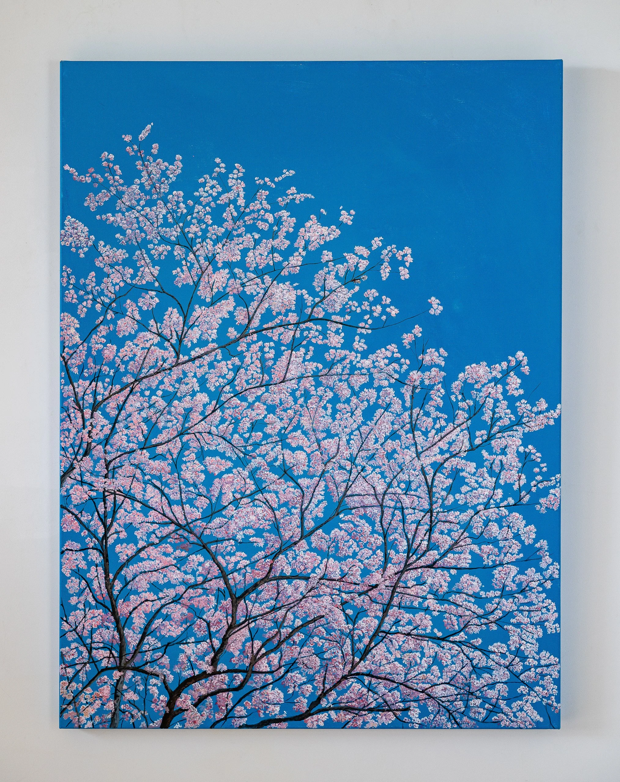 Work 131:  Cherry Blossom.  2019.   122 x 91 cms.