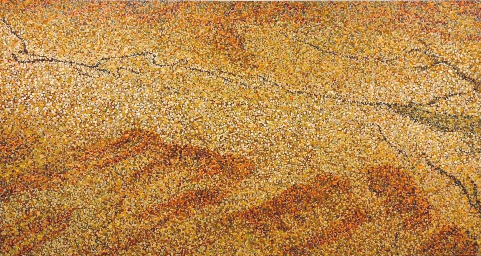 W270.  Dry Creek Outback. 2025.   112 x 199 cms 