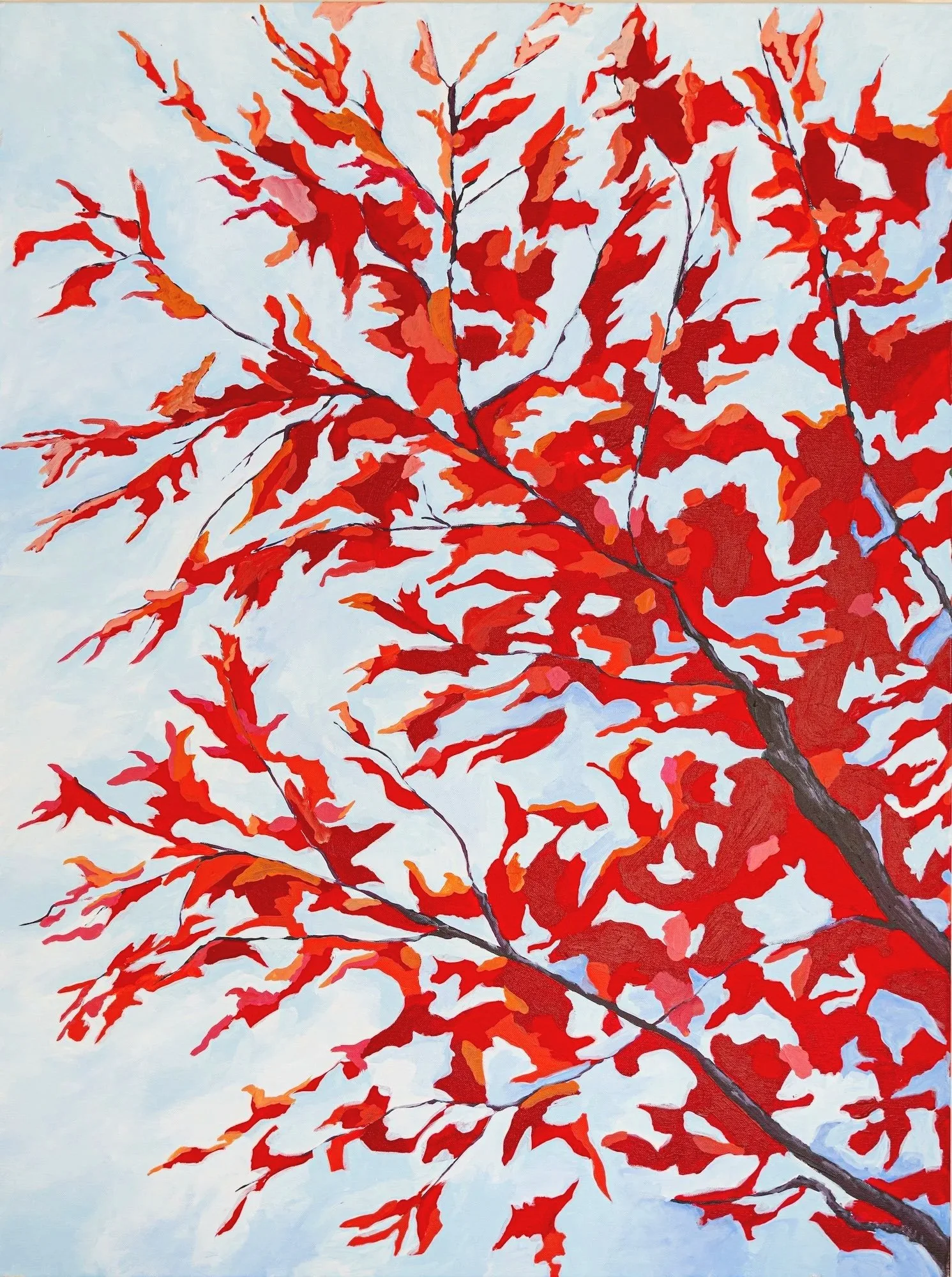 Work 163. Maple.  2020. 102 x 76 cms