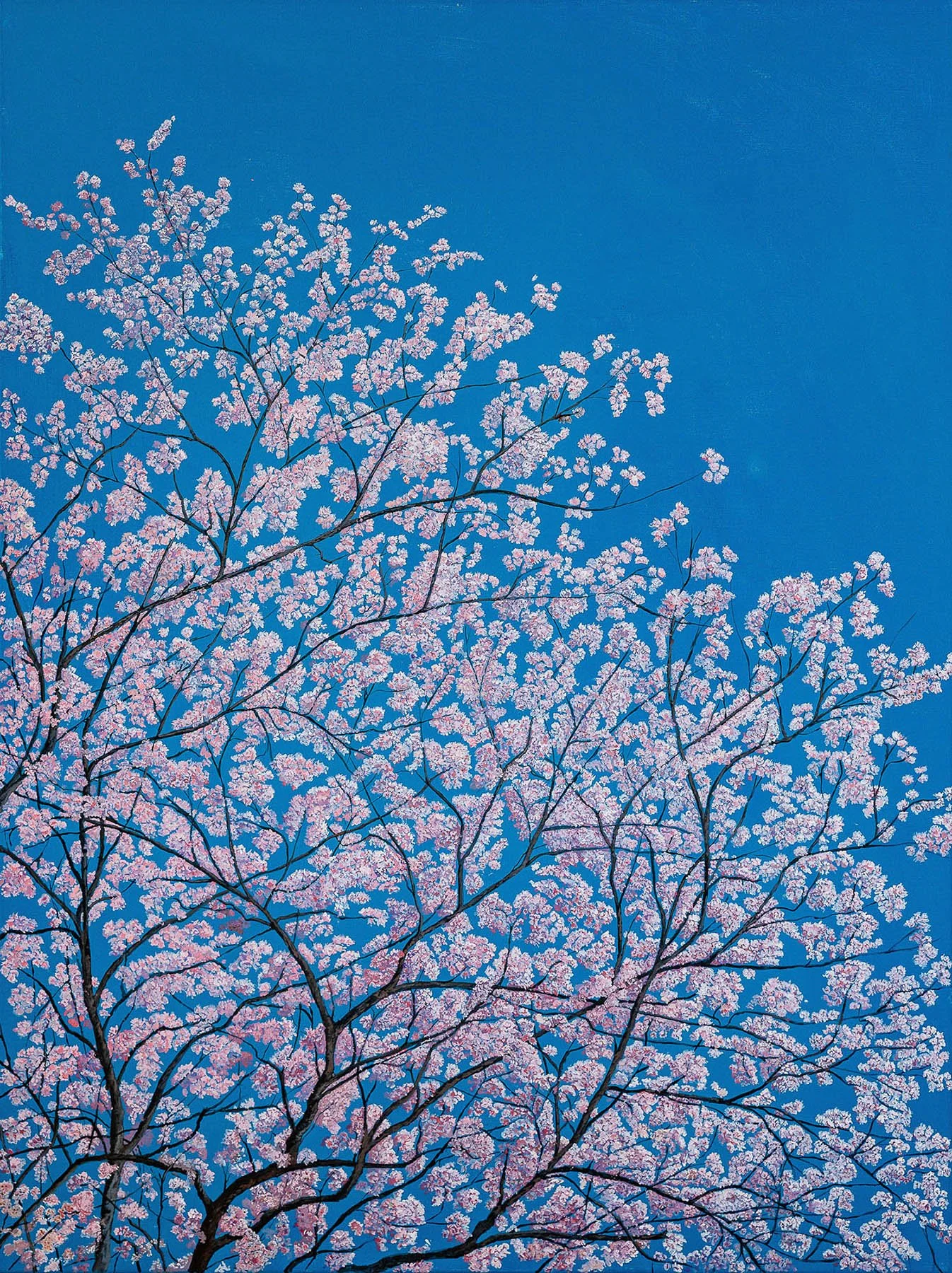 Work 131:  Cherry Blossom  
2019   
acrylic on canvas
122 x 91 cms