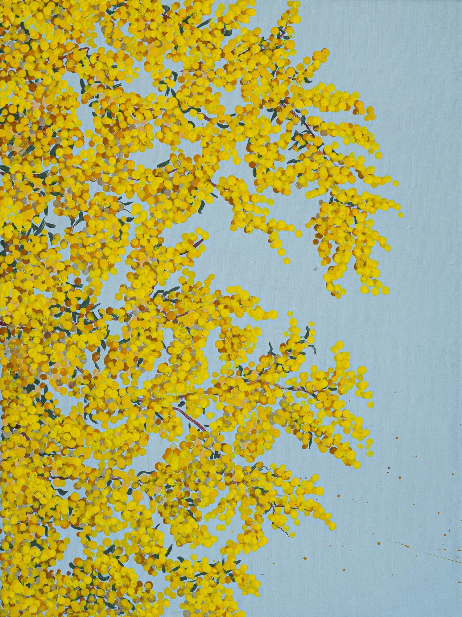 Work 161:  Wattle 4
2020
acrylic on canvas
41 x 31 cms