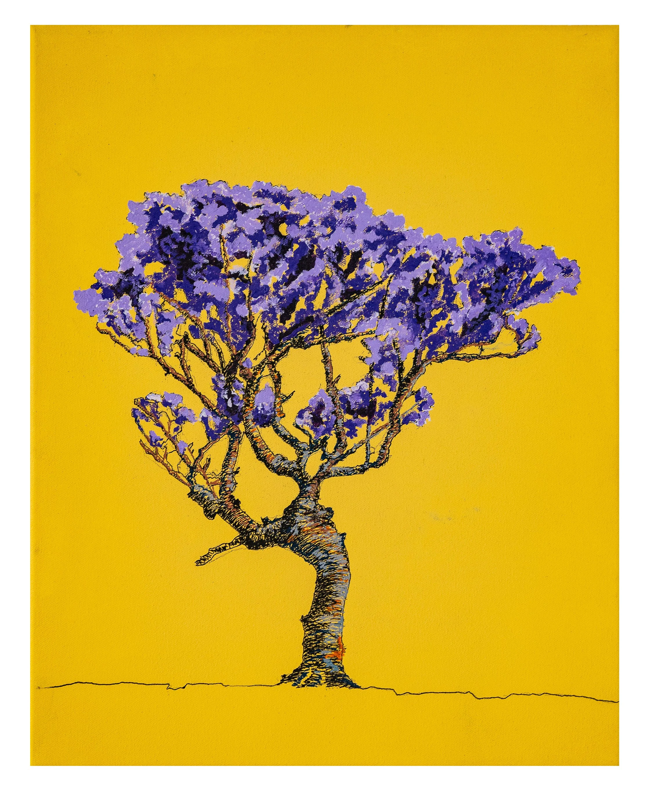 Work 237:  Lone Tree on Yellow.  2024.   51 x 40 cms.