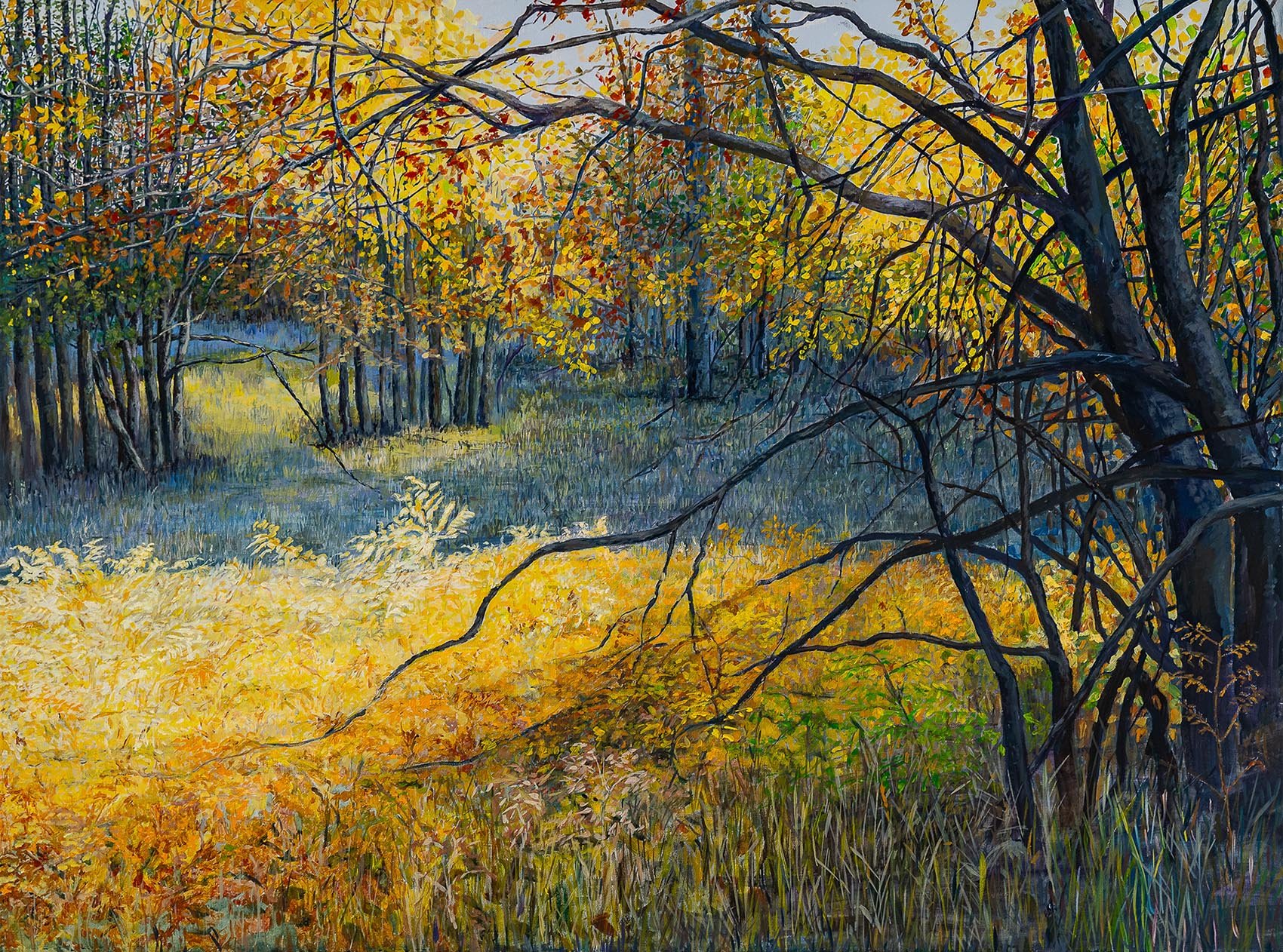 Work 245:  Workman's Creek Meadow
2024
acrylic on canvas
101 x 76 cms