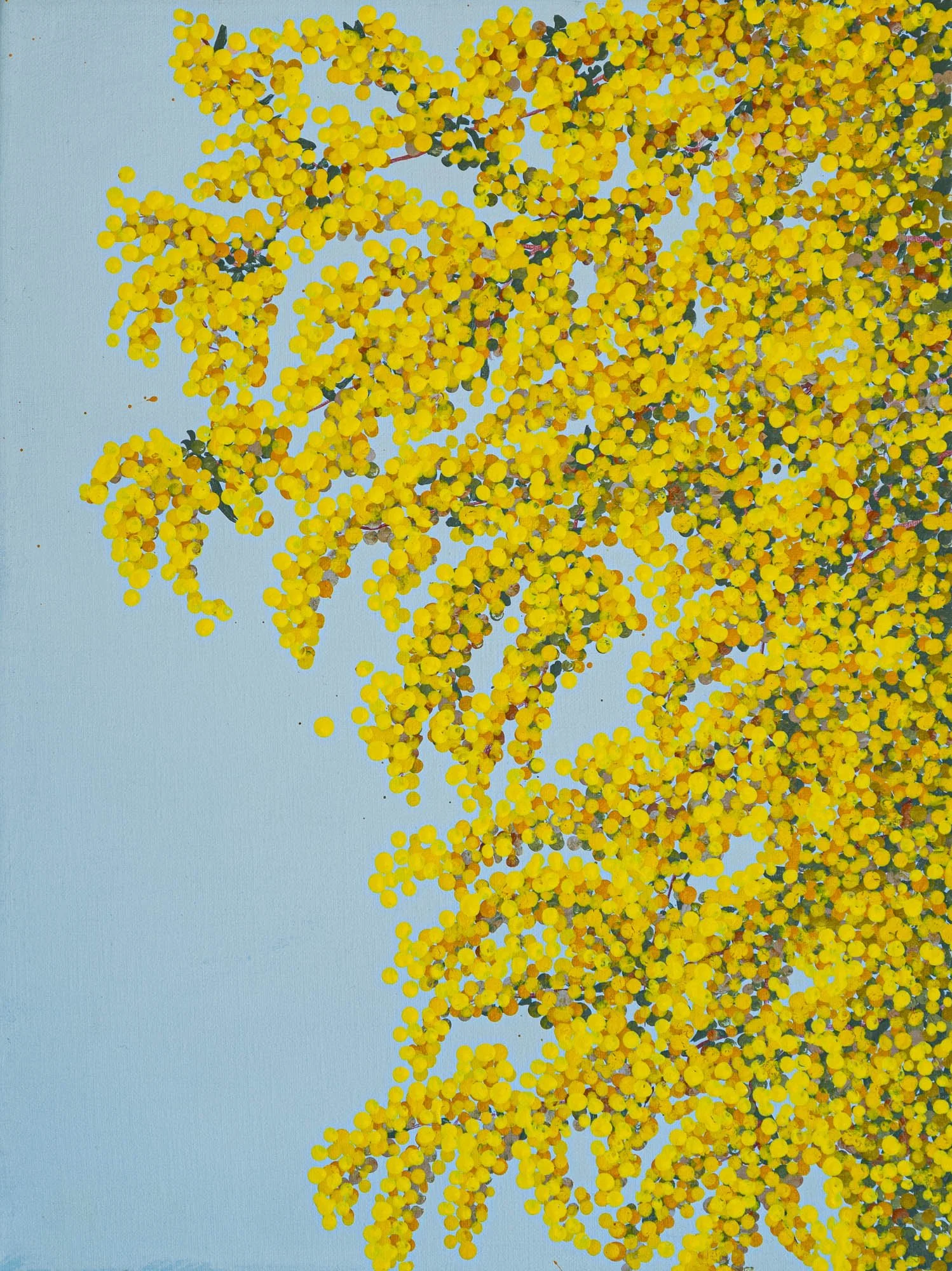 Work 159:  Wattle 2
2020
acrylic on canvas
41 x 31 cms