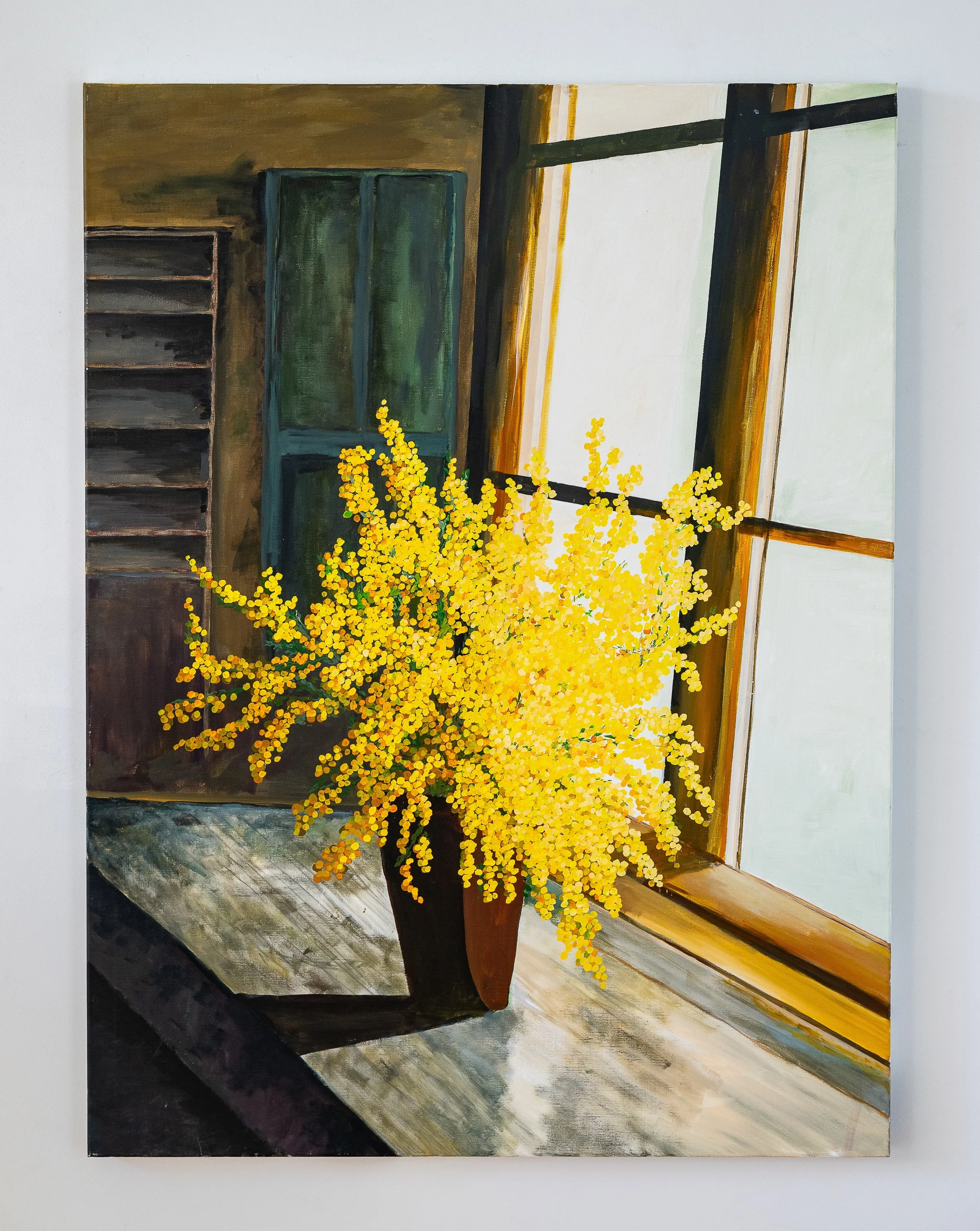 Work 146:  Wattle in Timber Room.  2019.   123 x 91 cms.