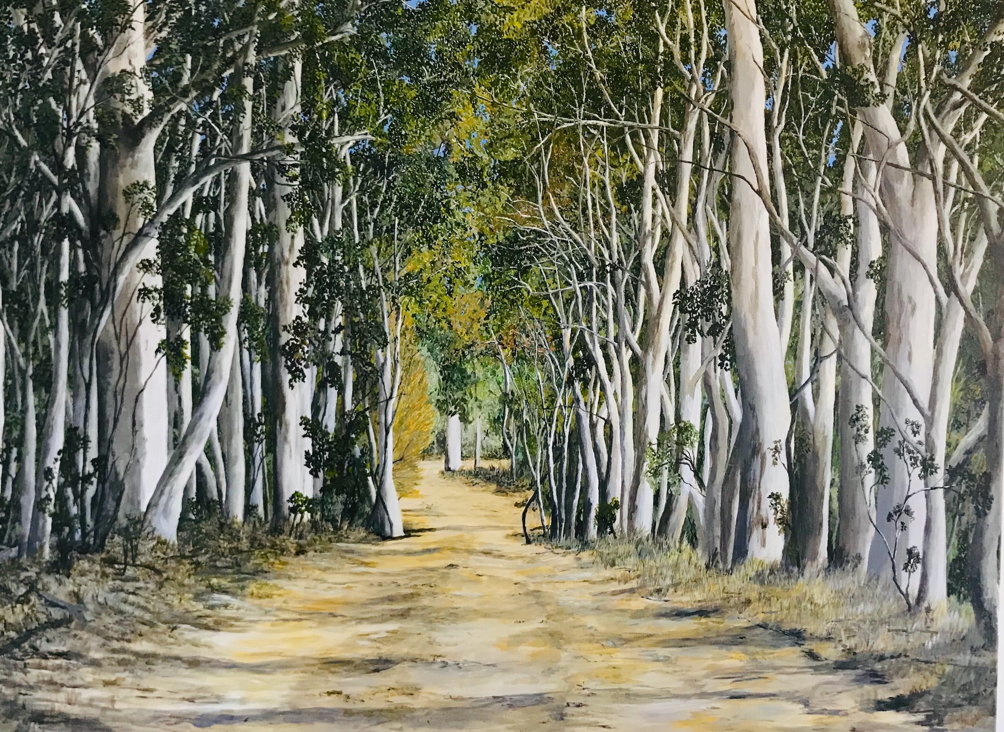 Work 133. Road Through White Trees. 2019. 91  x 123 cms 