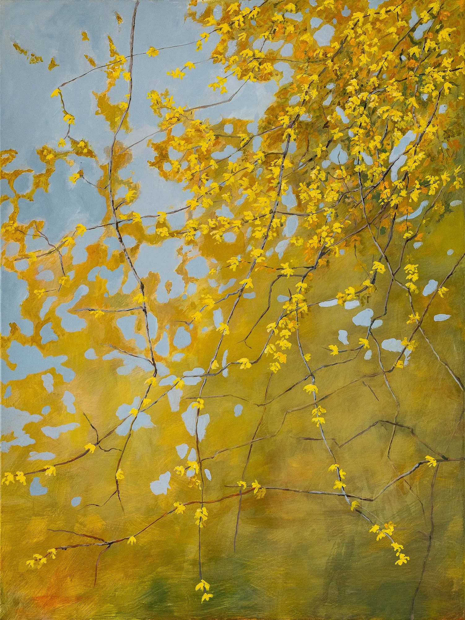 Work 236:  Forsythia in Bud
2024
acrylic on canvas
23 x 91 cms