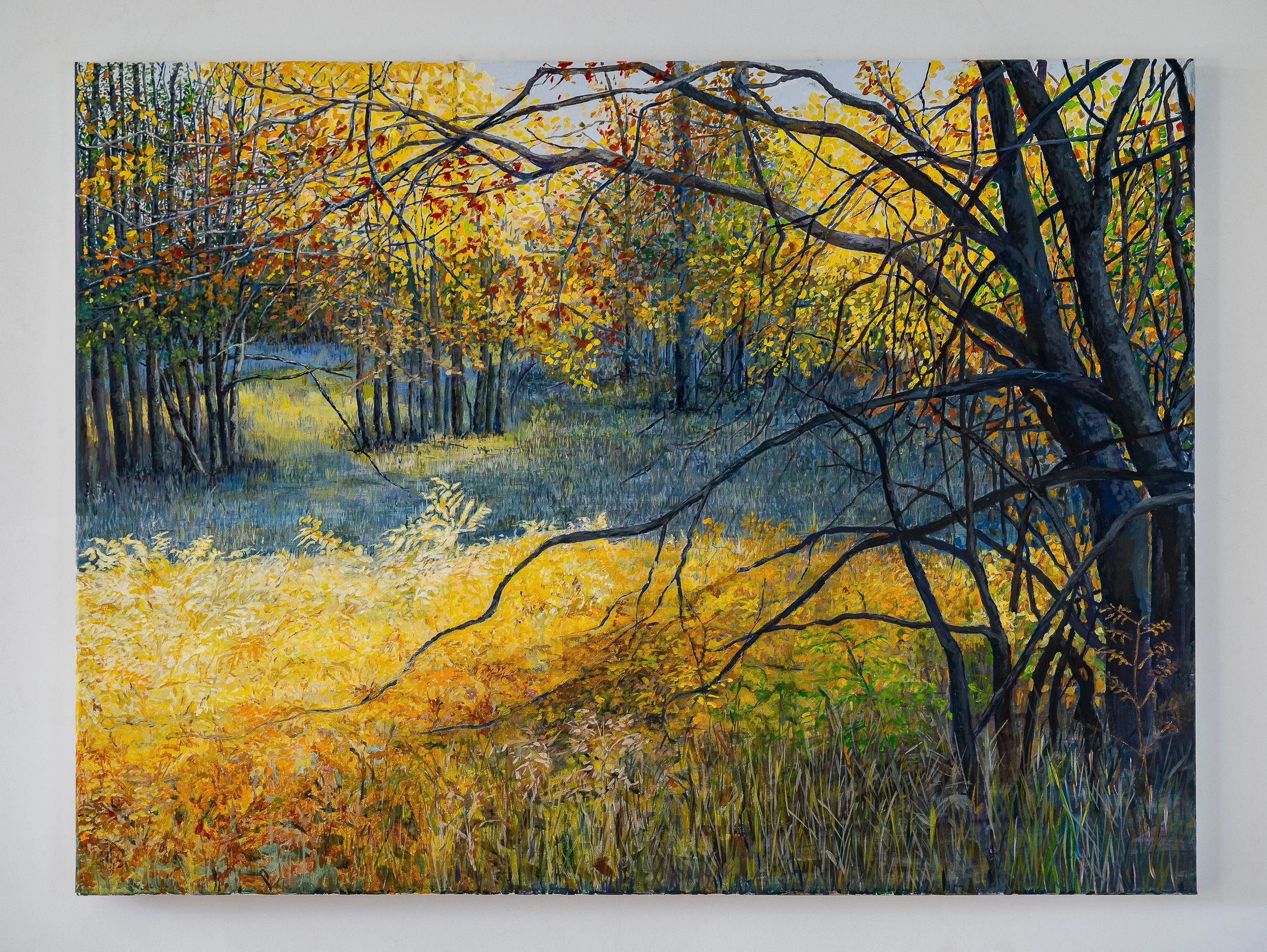 Work 245:  2024.   Workman's Creek Meadow.  101 x 76 cms.