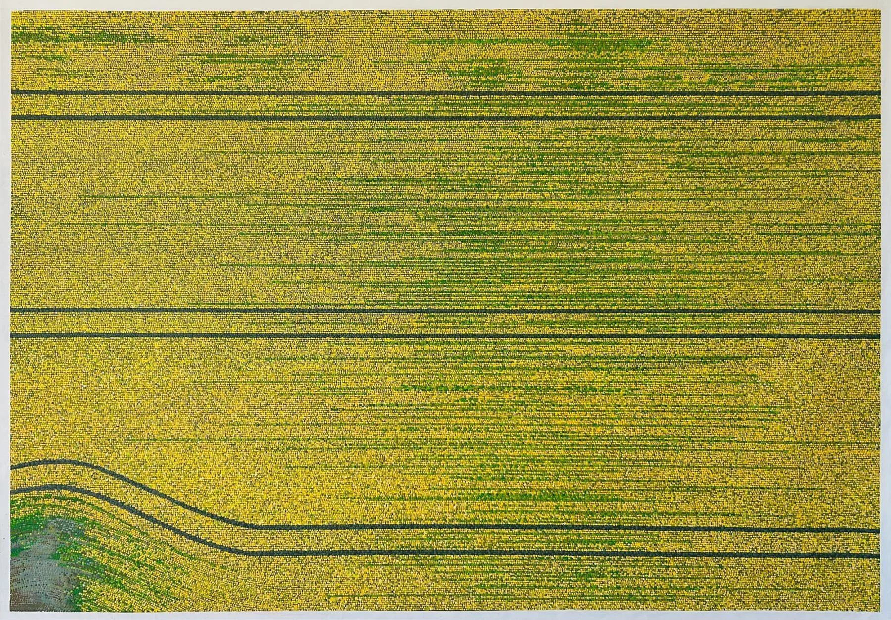 Work 267:  Tractor Tracks
2025
acrylic on canvas
129 x 187 cms