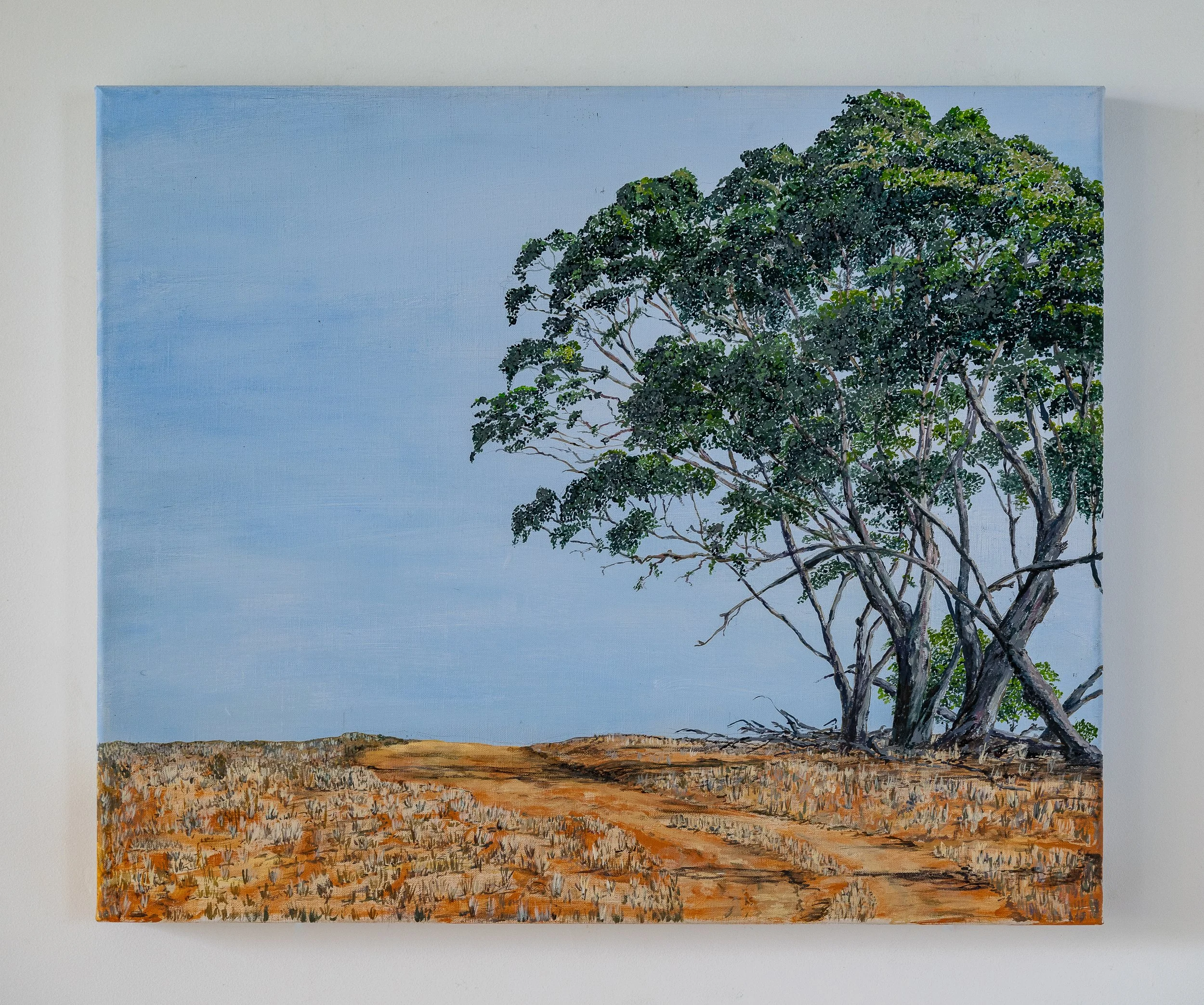 Work 120:  Paddock Tree.  2019.   52 x 61 cms.