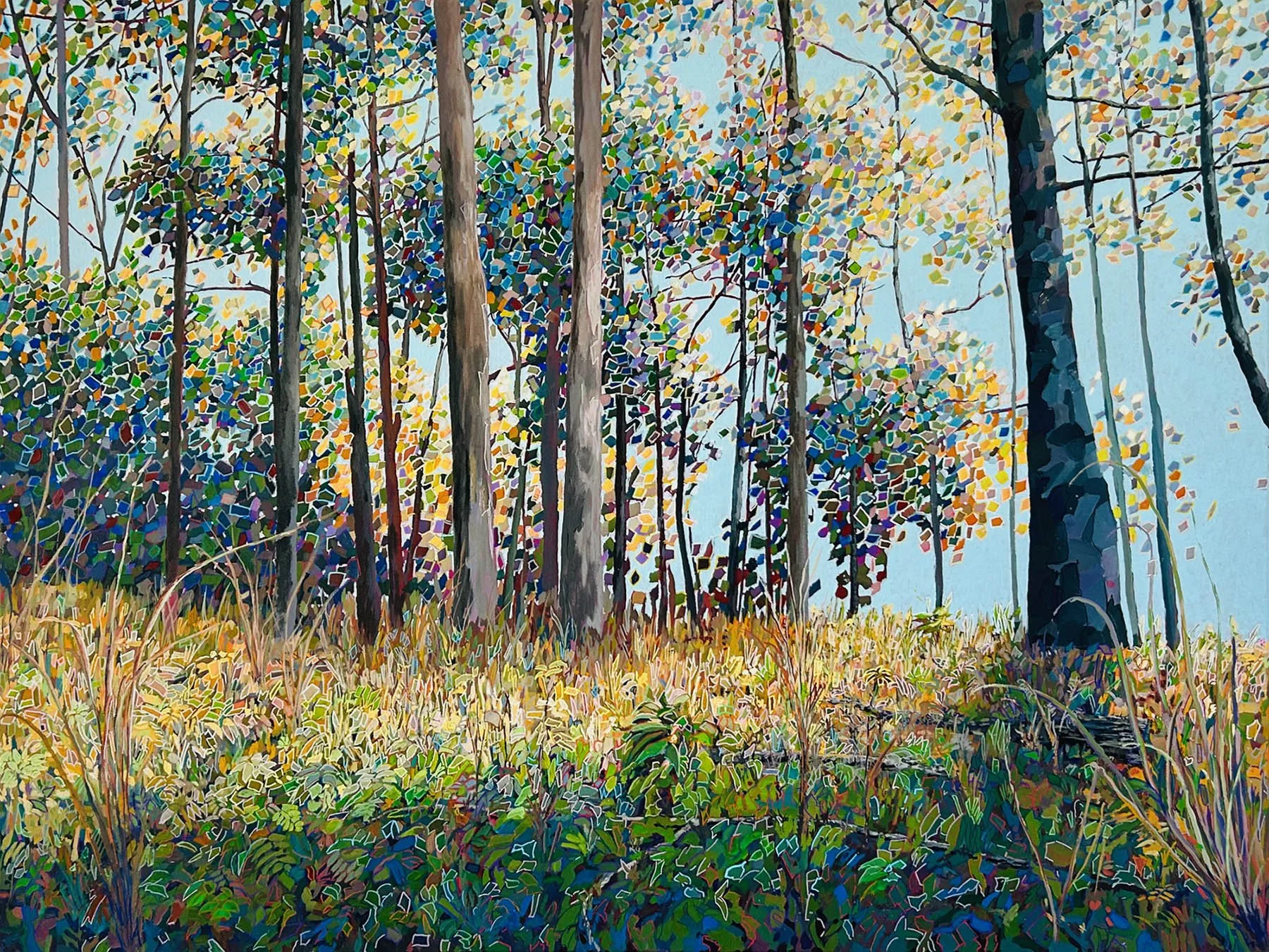 Work 258:  Ridge Line Trees
2025
acrylic on canvas
91 x 152 cms