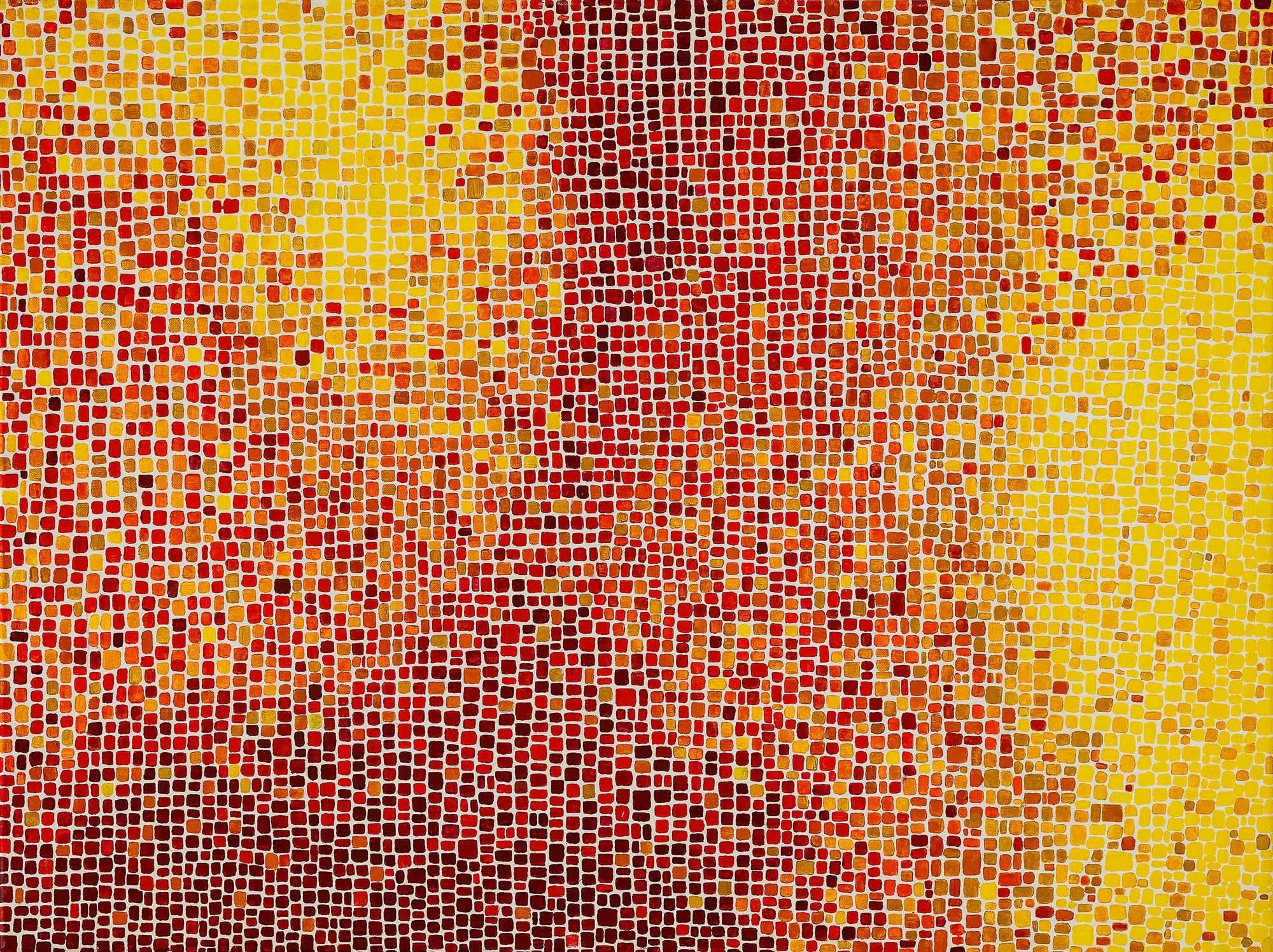 Work 7:  Yellow and Orange
2016
acrylic on canvas
76 x 102 cms