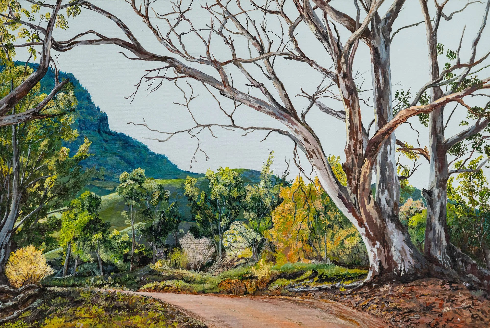 Work 189:  The Bend
2021
acrylic on canvas
51 x 78 cms