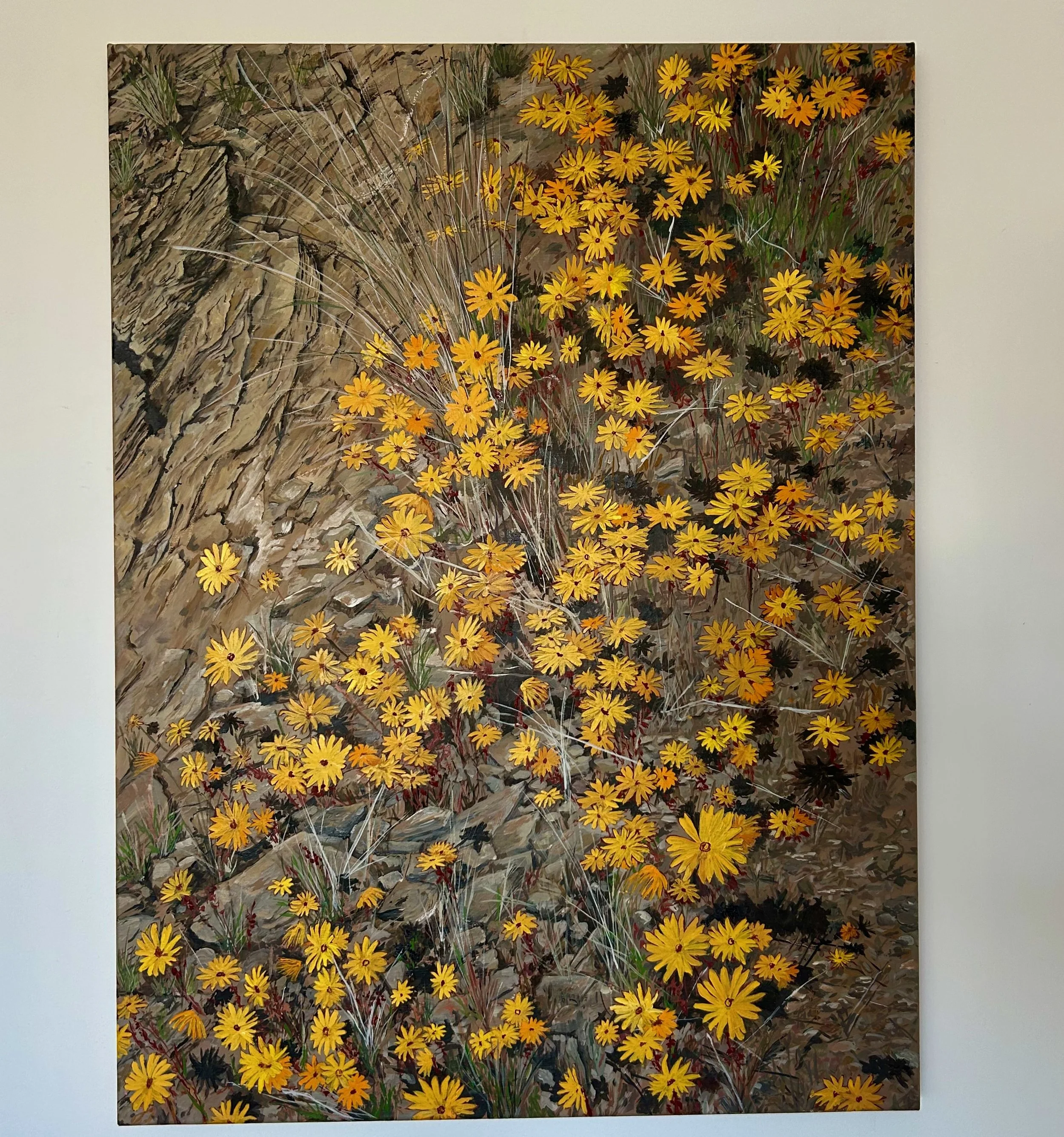 Work 272:  African Daisies.  2025.   101 x 76 cms.